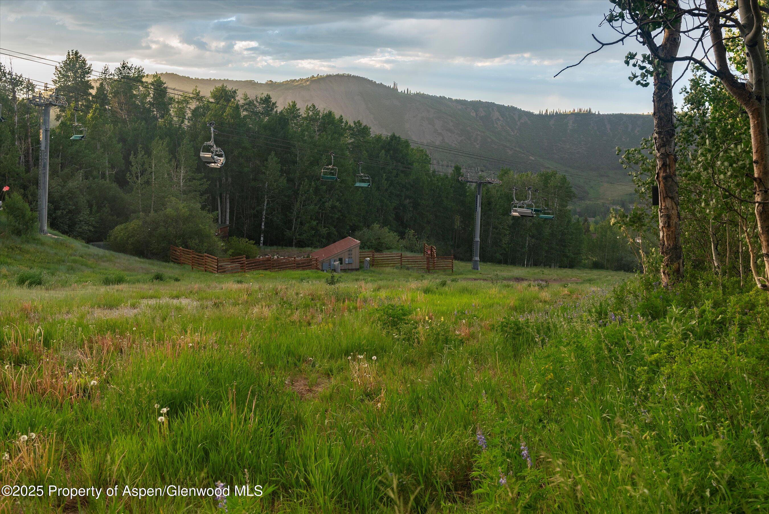 473 Creek Lane Snowmass Village CO 81615