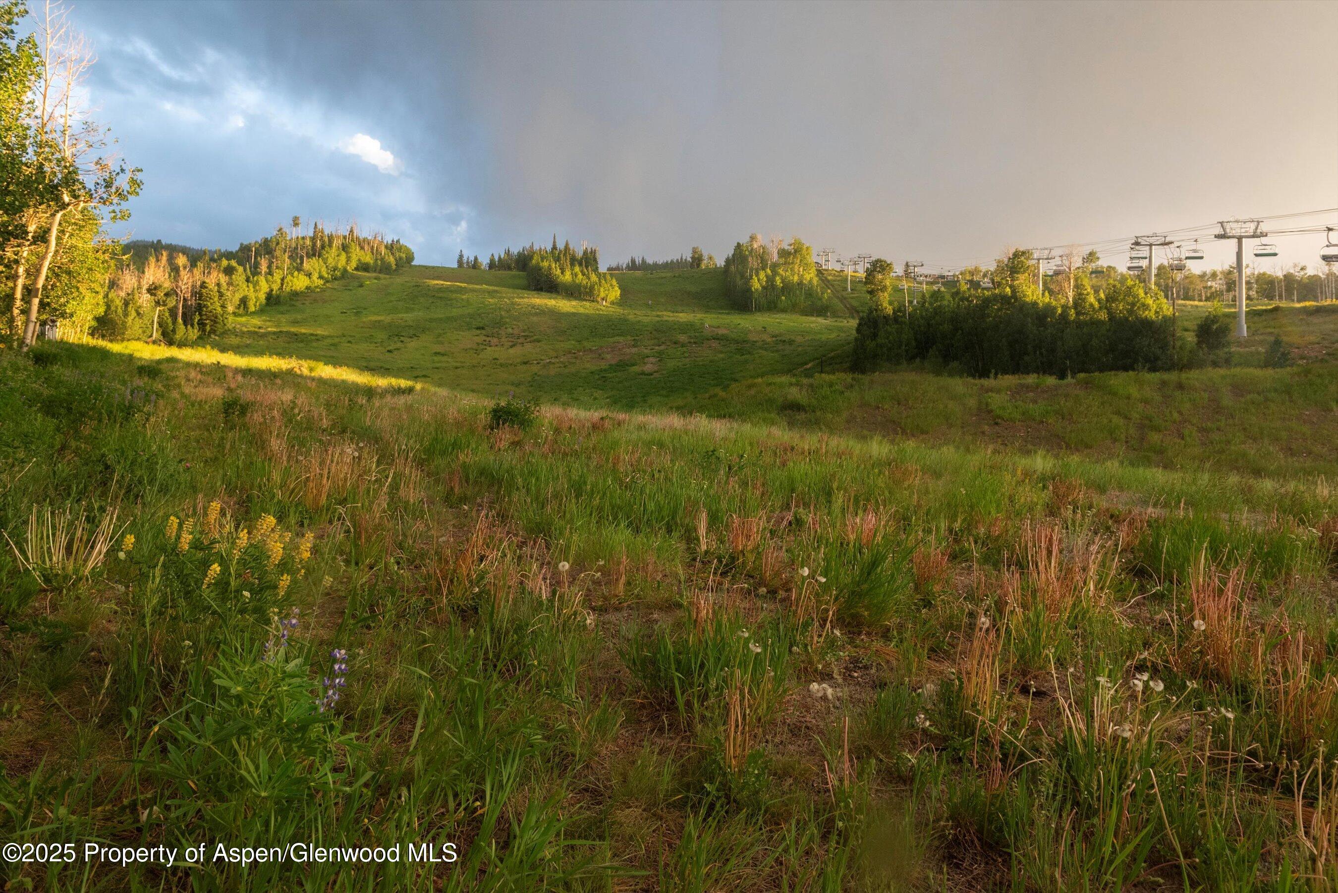 473 Creek Lane Snowmass Village CO 81615