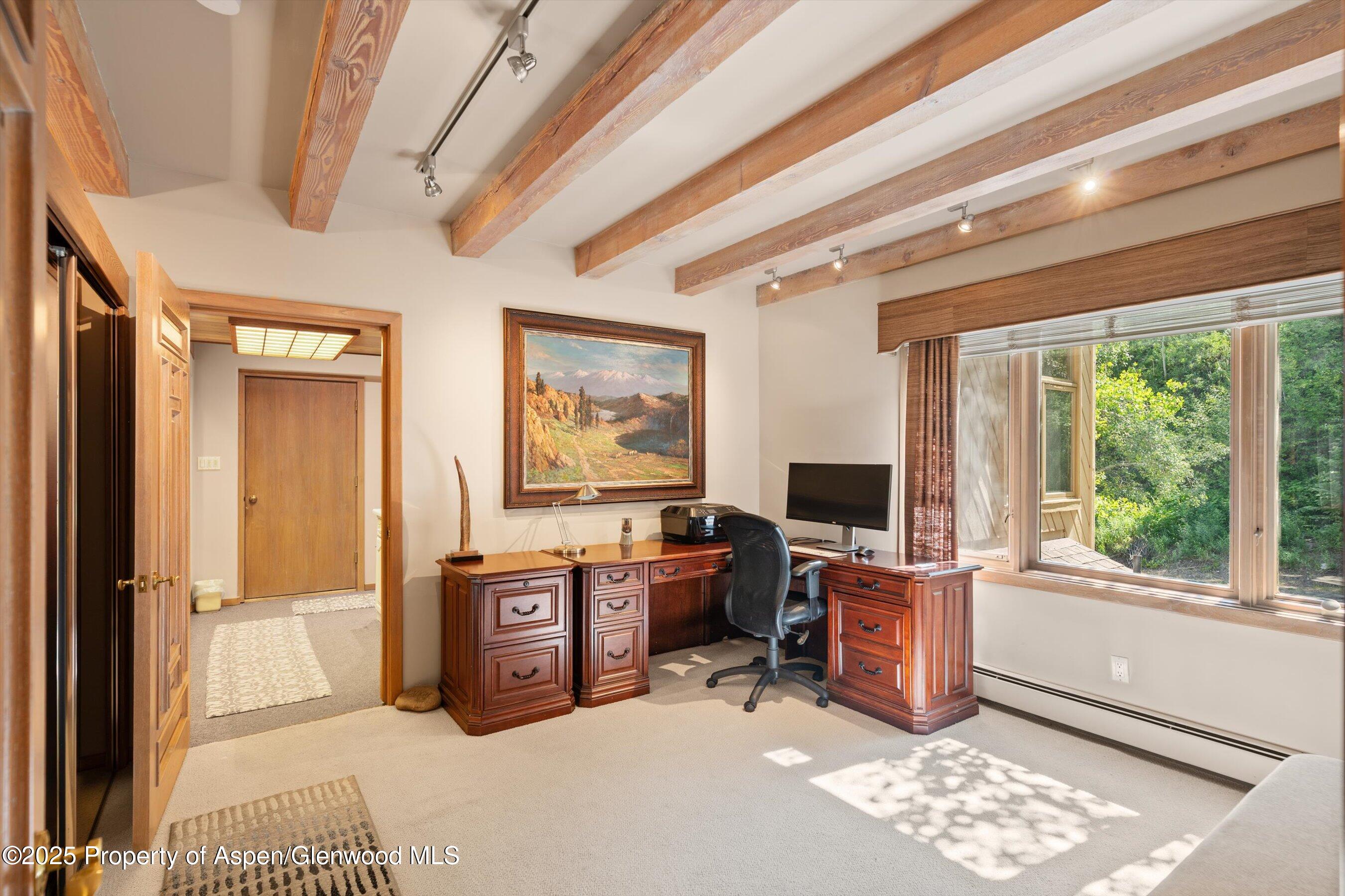 473 Creek Lane Snowmass Village CO 81615