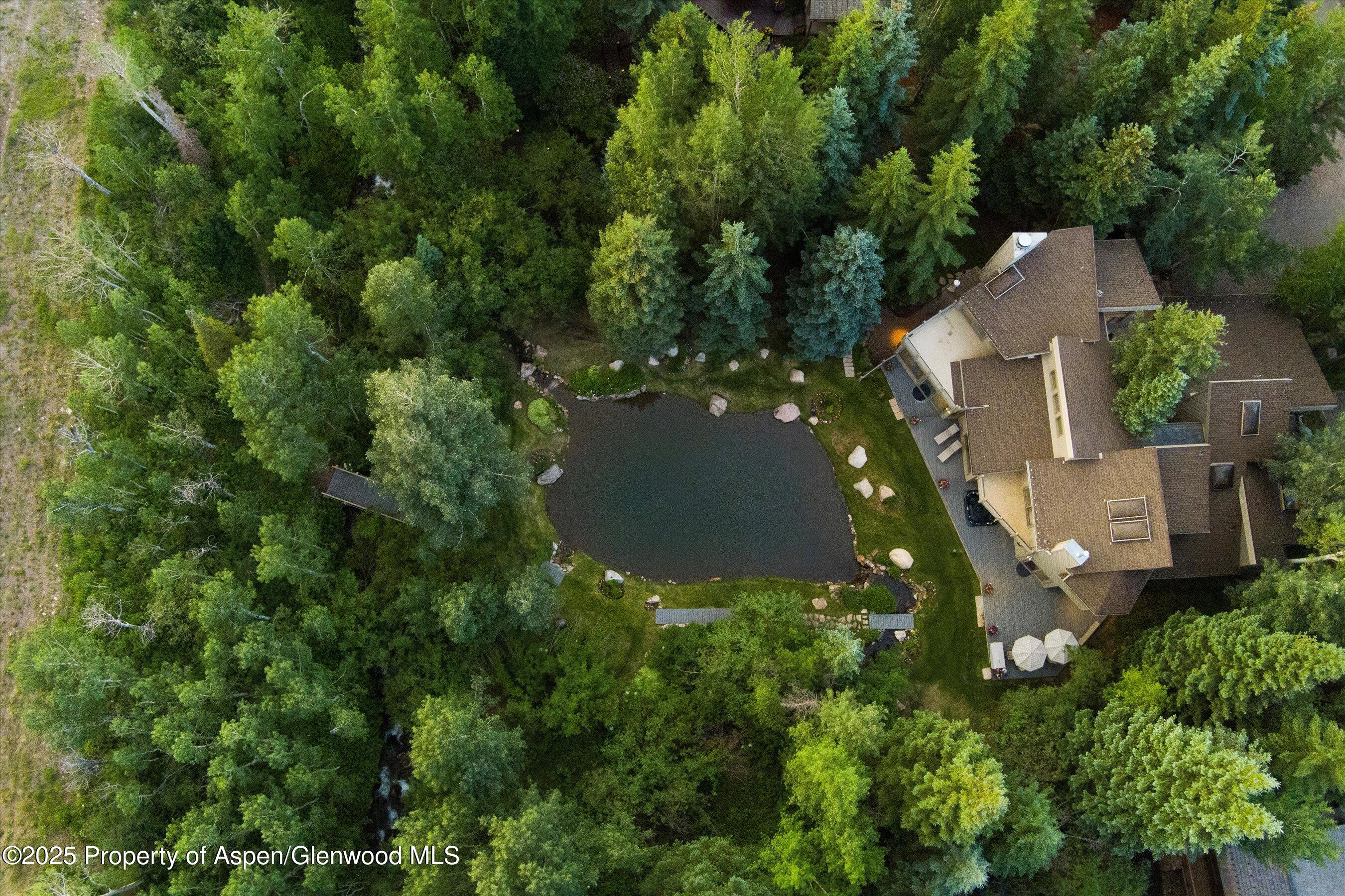 473 Creek Lane Snowmass Village CO 81615