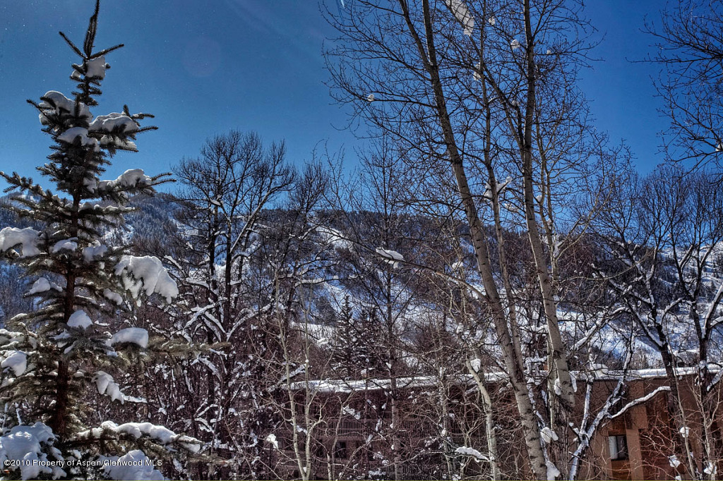 329 Park Avenue Aspen CO 81611