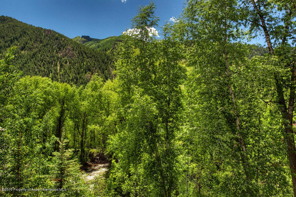 329 Park Avenue Aspen CO 81611