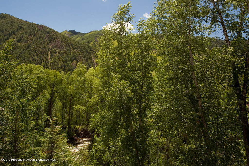 329 Park Avenue Aspen CO 81611