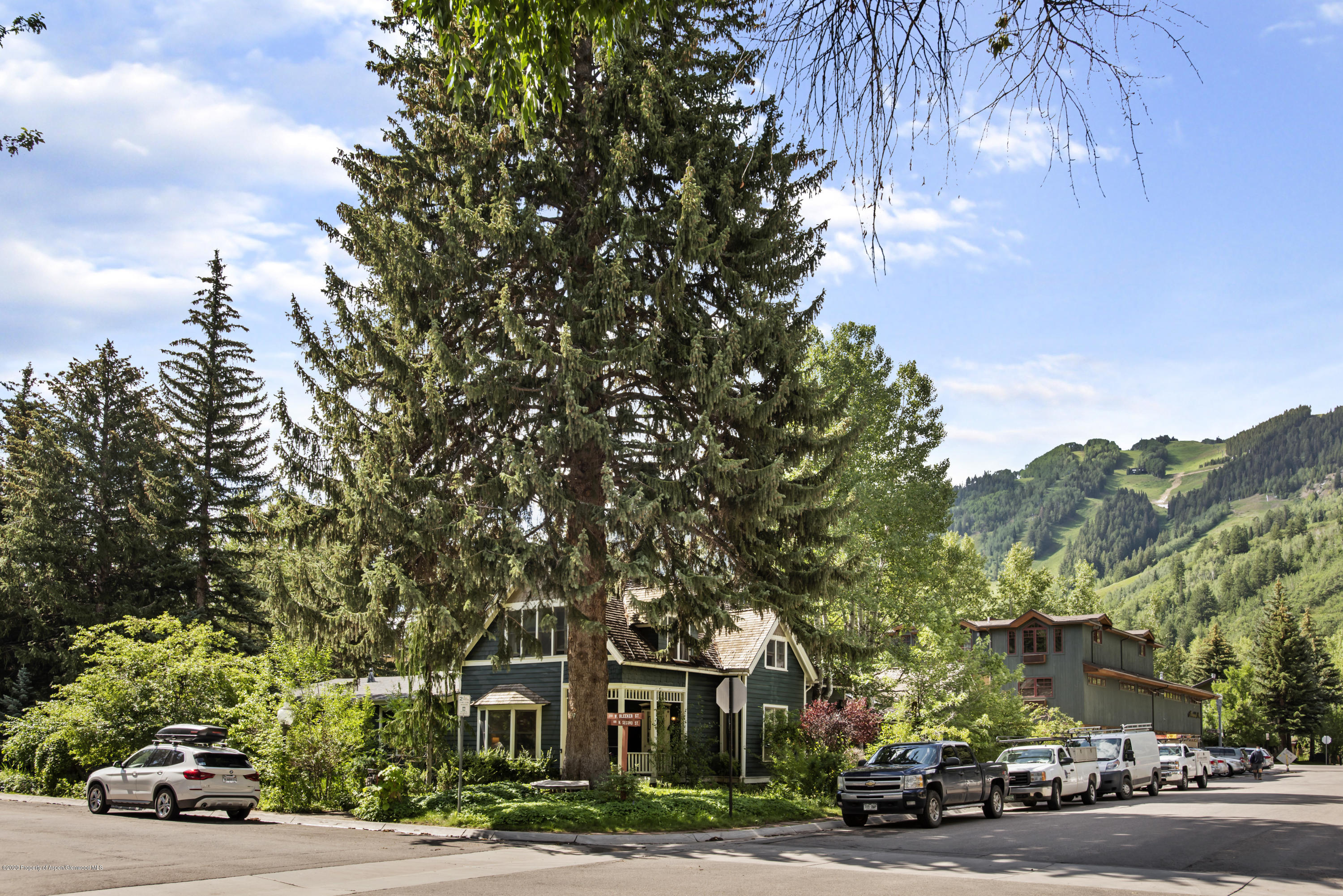 233 W Bleeker Street Aspen CO 81611