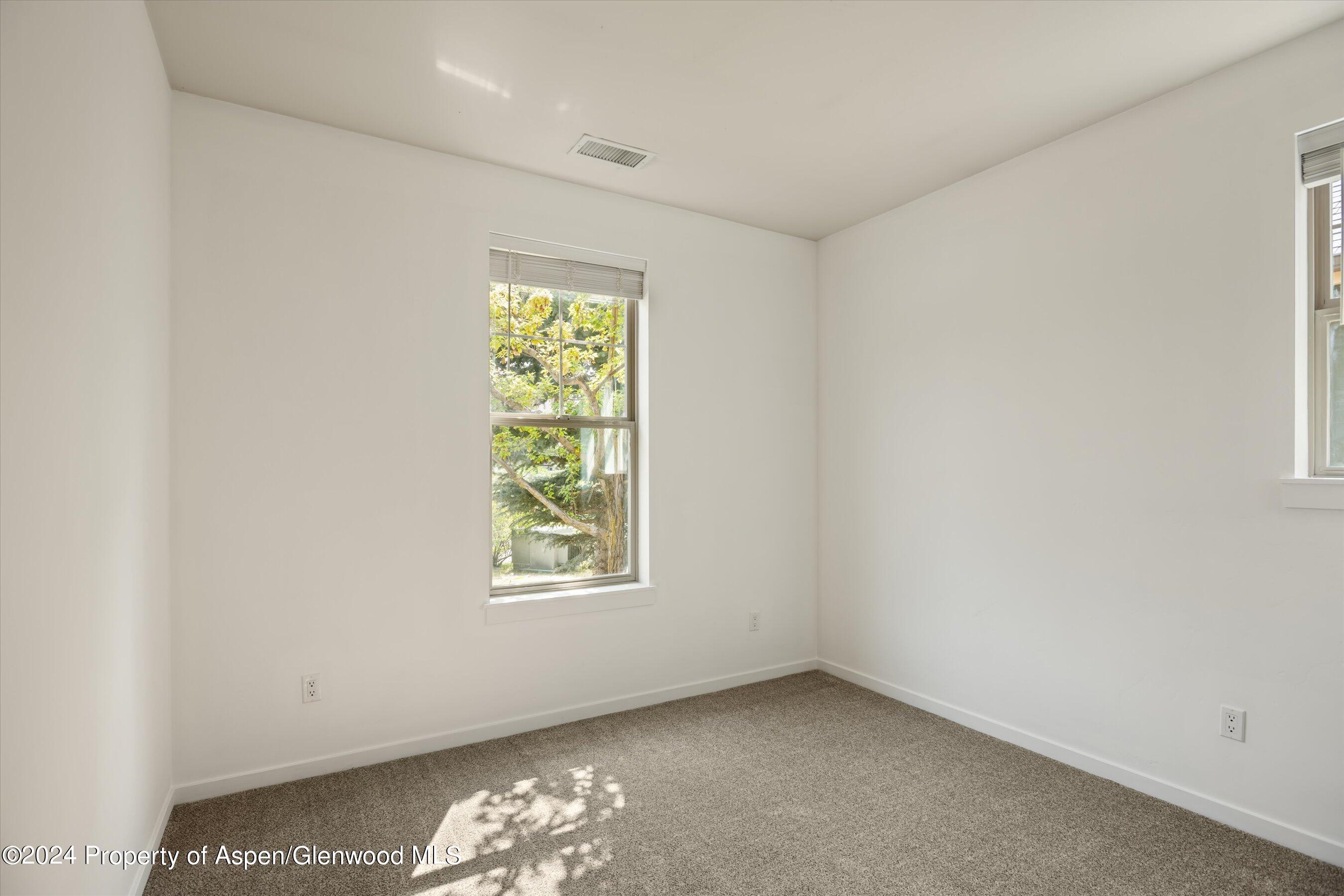 292 Red Bluff Vista Glenwood Springs CO 81601