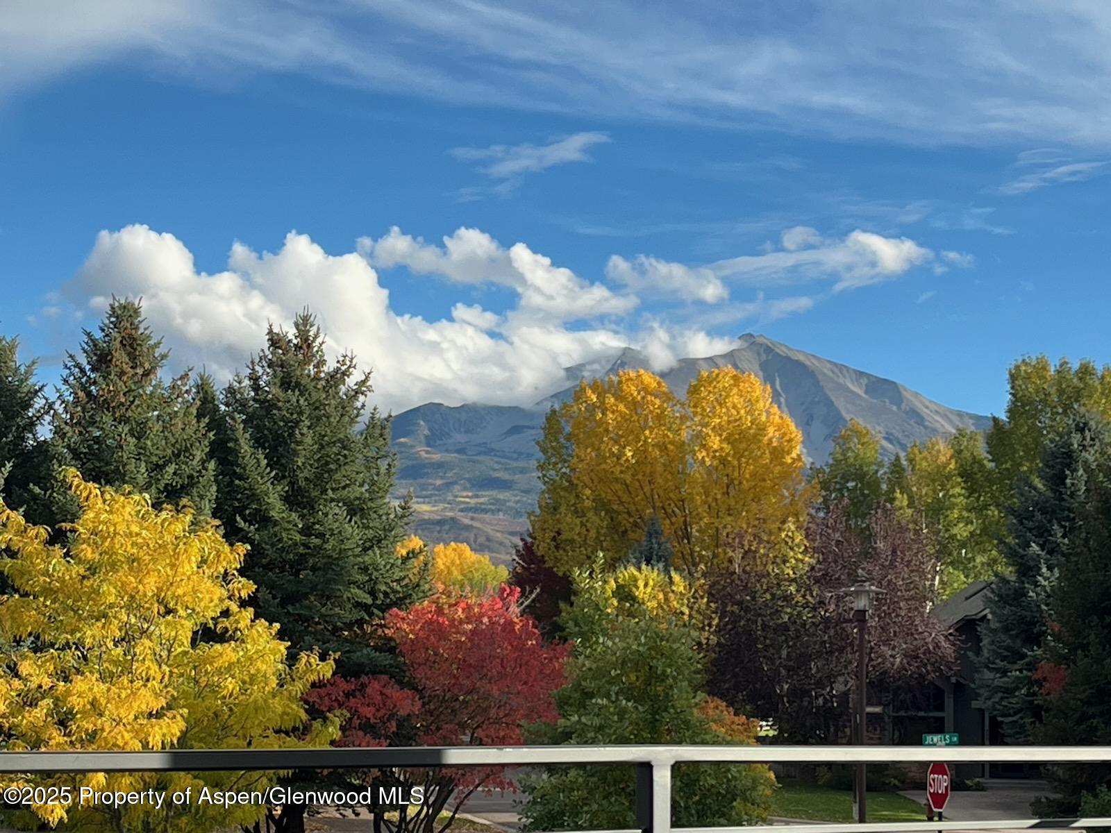 428 Jewels Lane Carbondale CO 81623