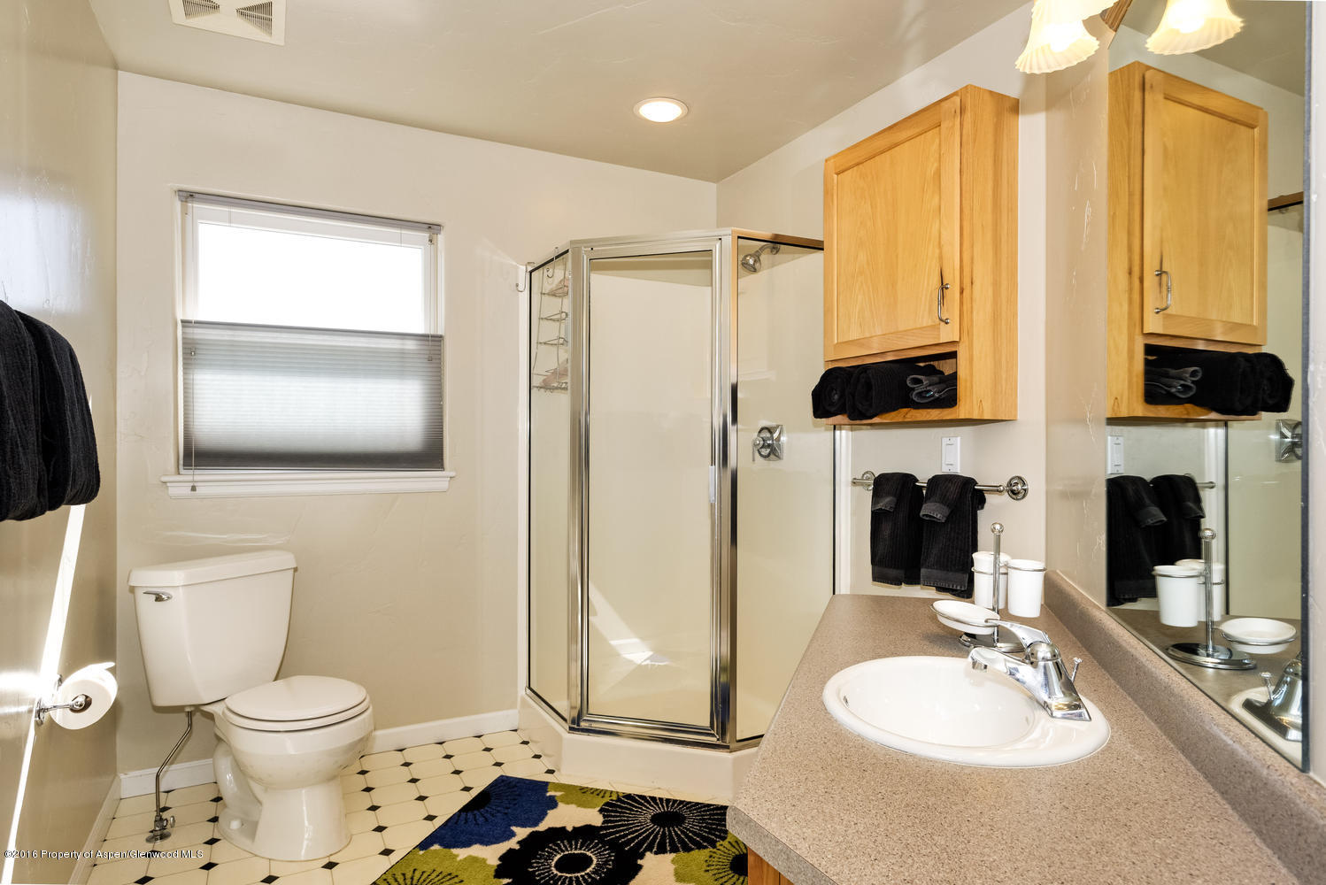 611 Cowen Drive Carbondale CO 81623