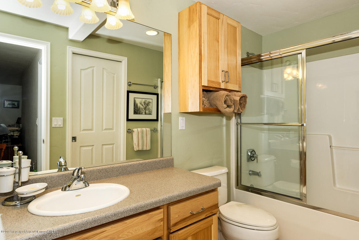 611 Cowen Drive Carbondale CO 81623