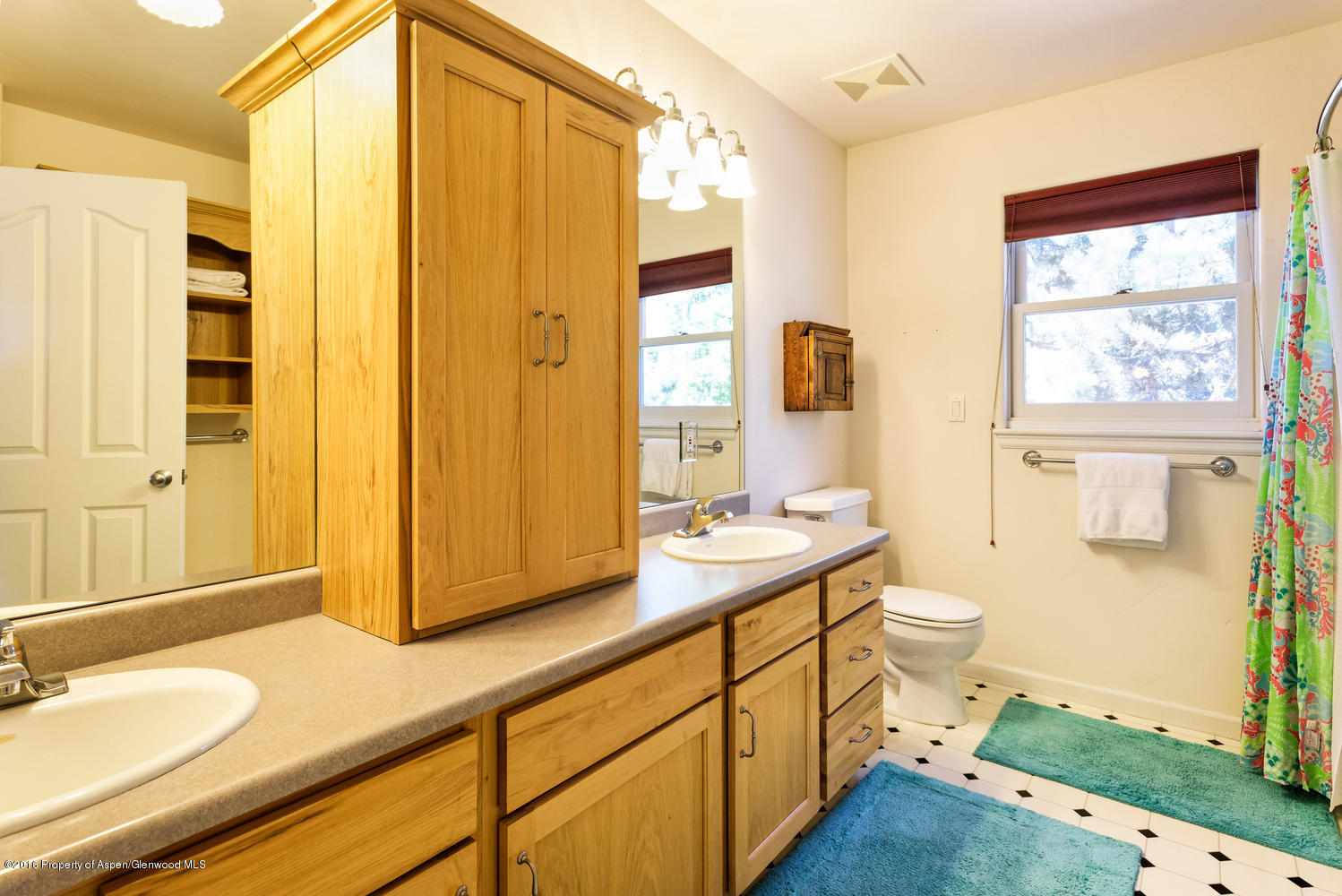 611 Cowen Drive Carbondale CO 81623