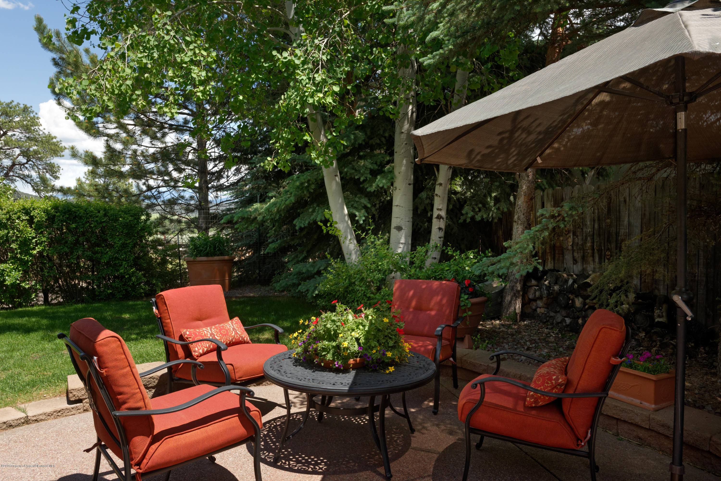 611 Cowen Drive Carbondale CO 81623