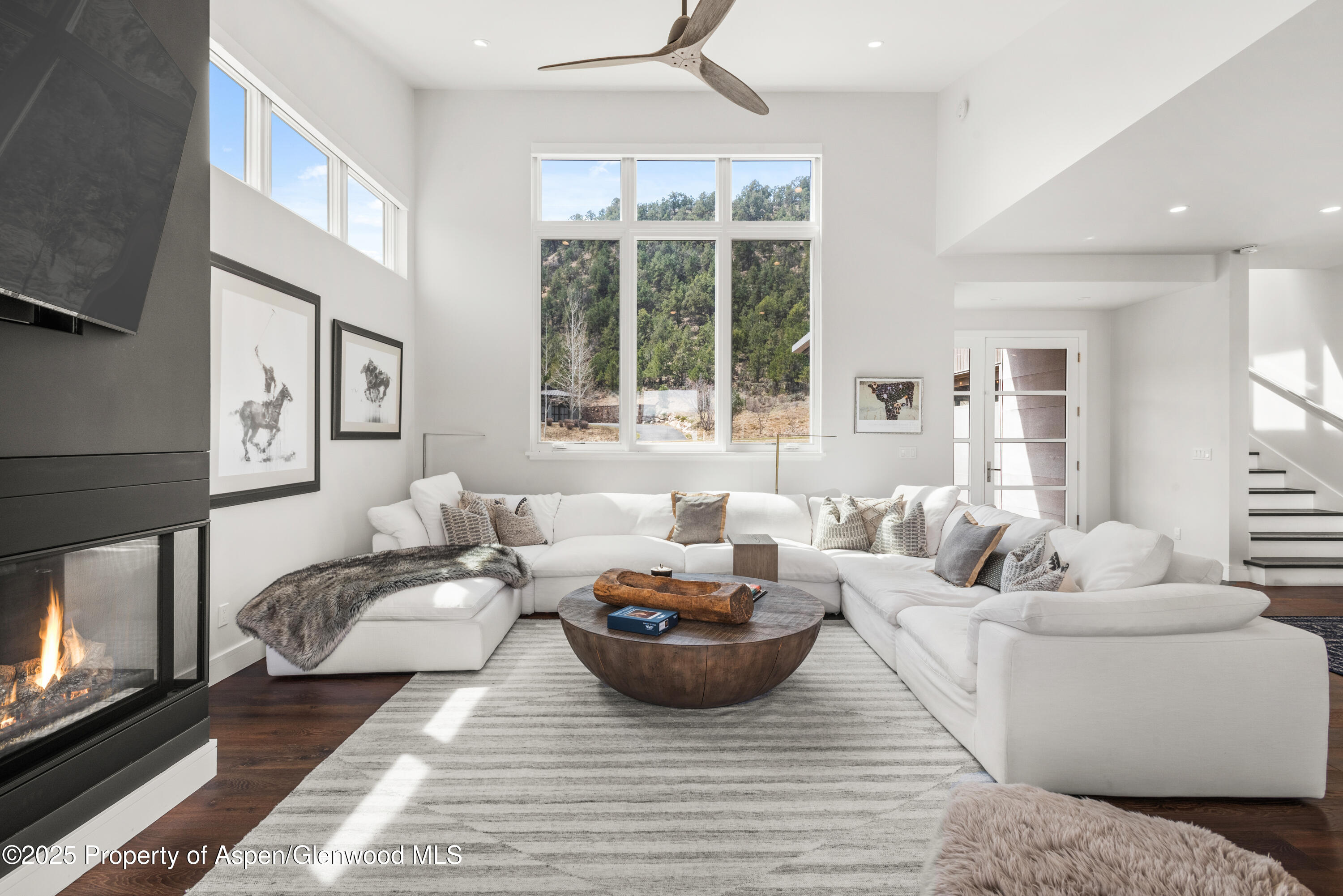 3898 Crystal Bridge Drive Carbondale CO 81623