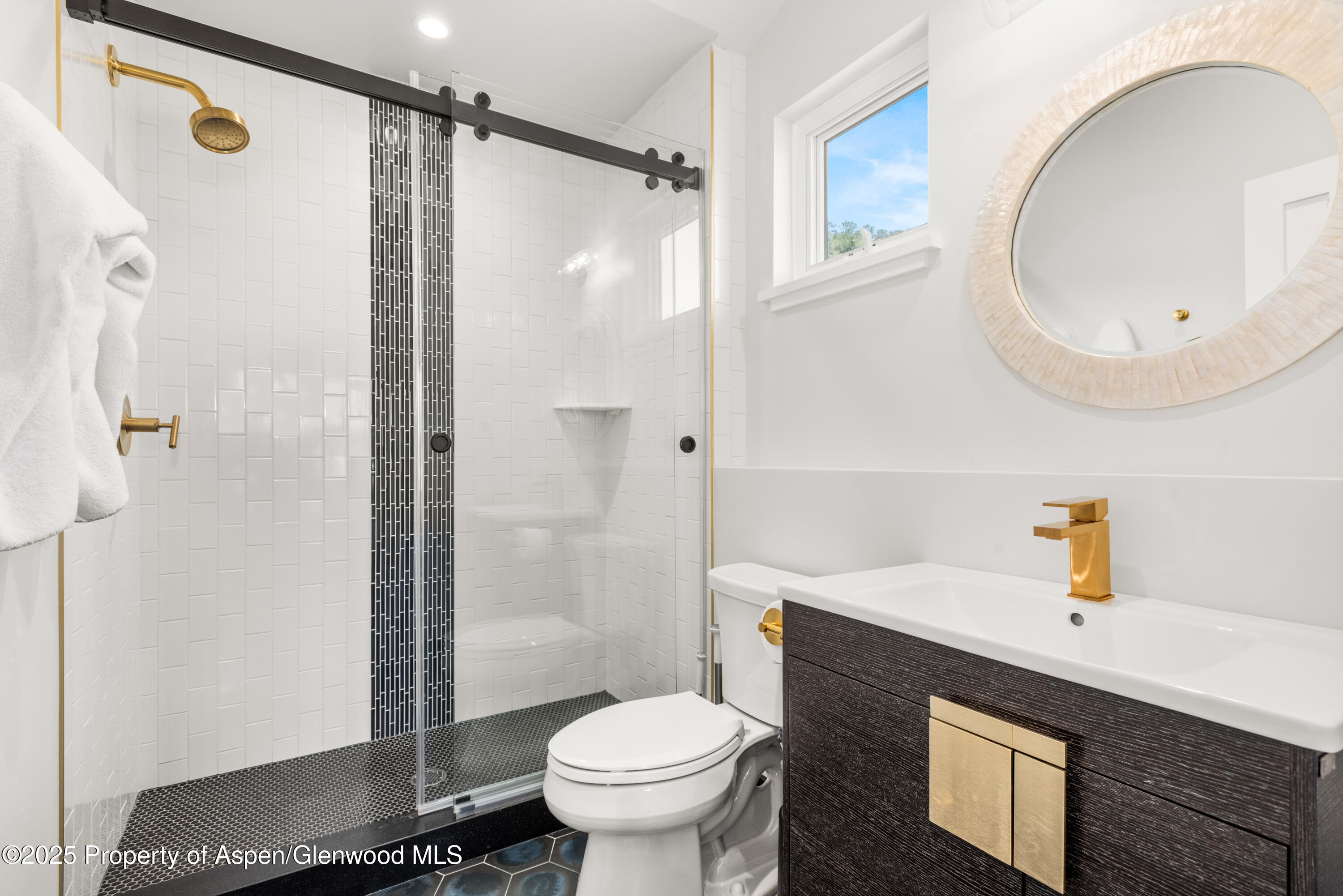 3898 Crystal Bridge Drive Carbondale CO 81623