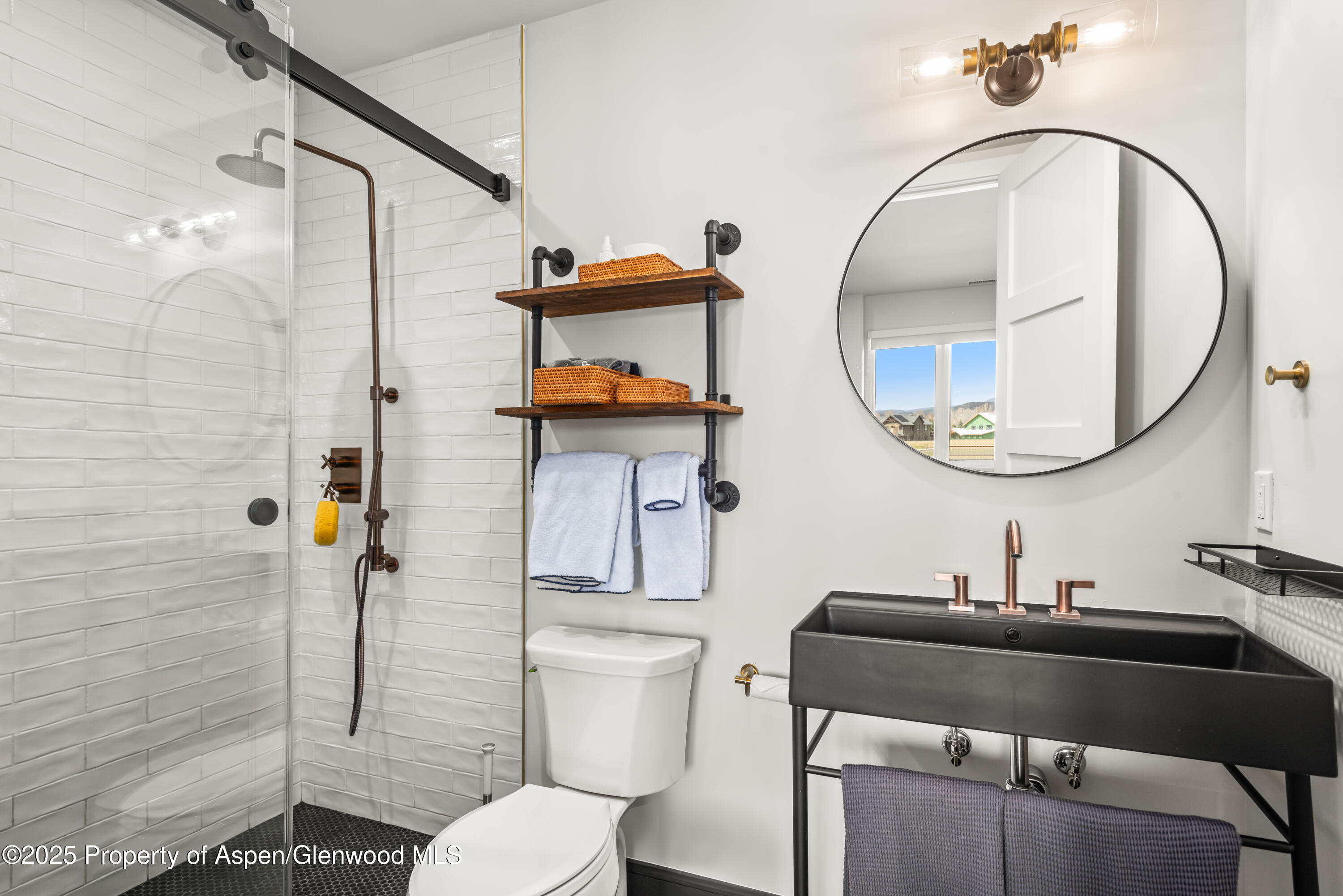 3898 Crystal Bridge Drive Carbondale CO 81623