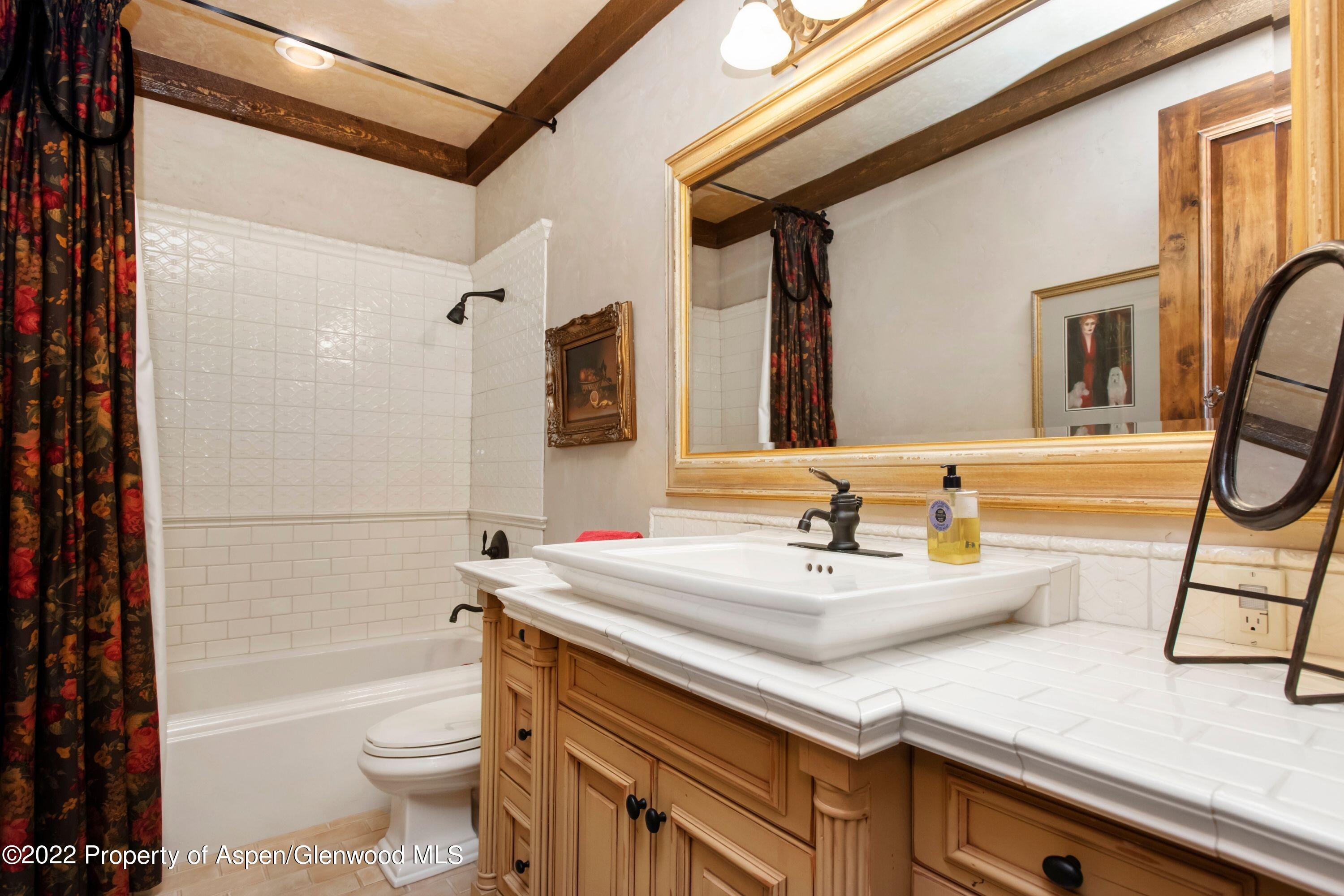 64 Spruce Ridge Lane Snowmass Village CO 81615