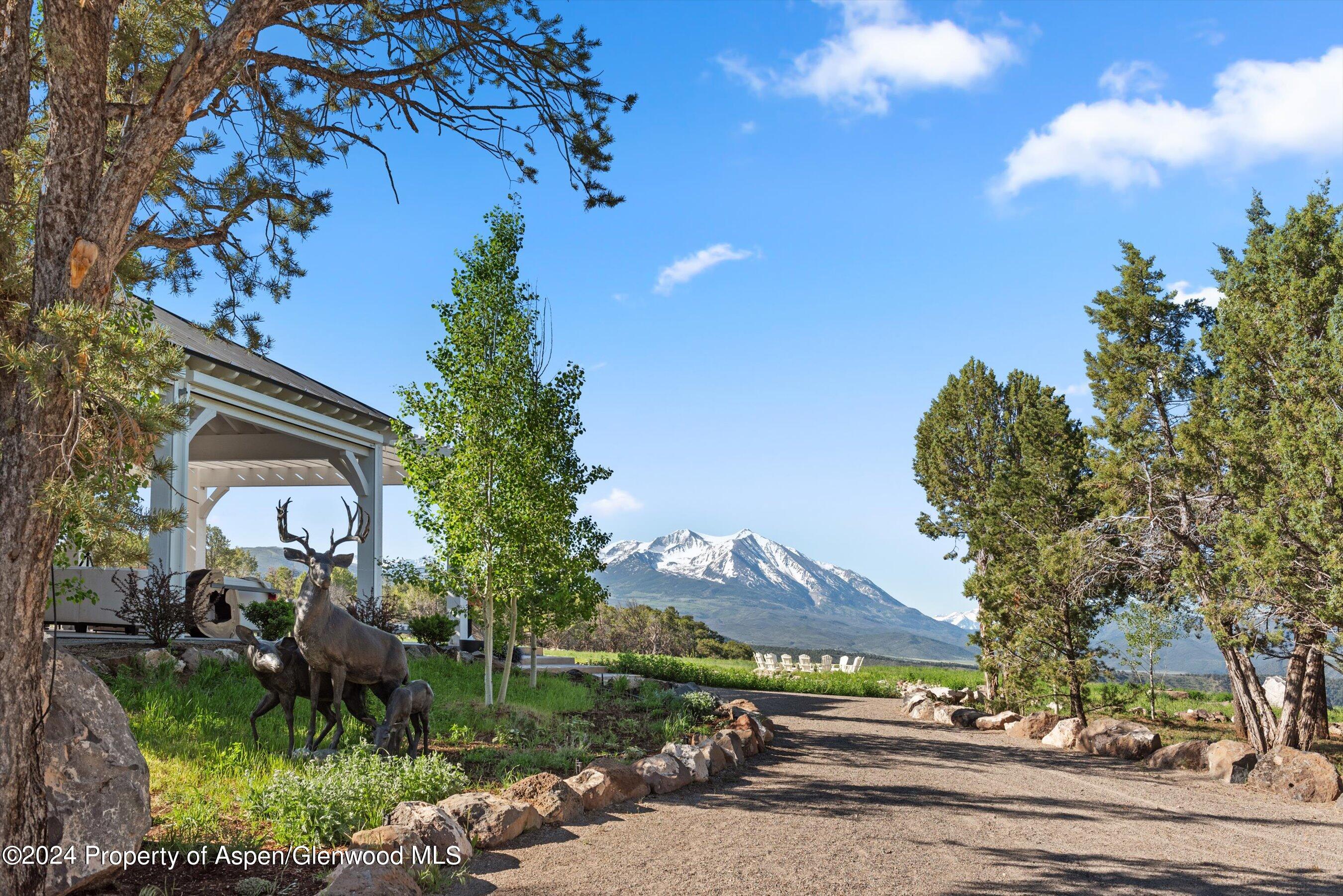 5349 County Road 100 Carbondale CO 81623