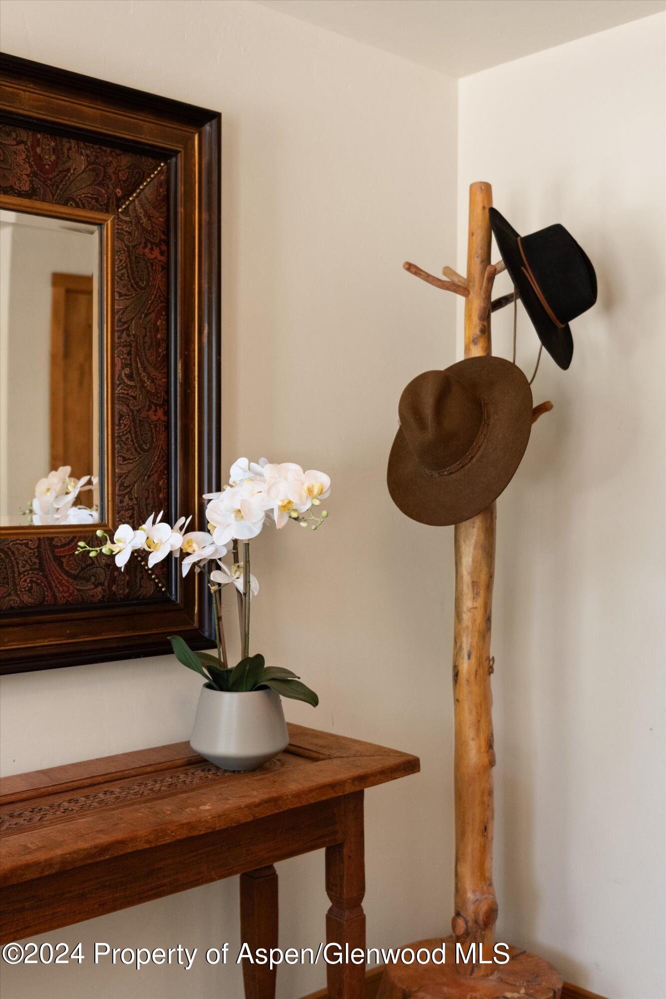 5349 County Road 100 Carbondale CO 81623