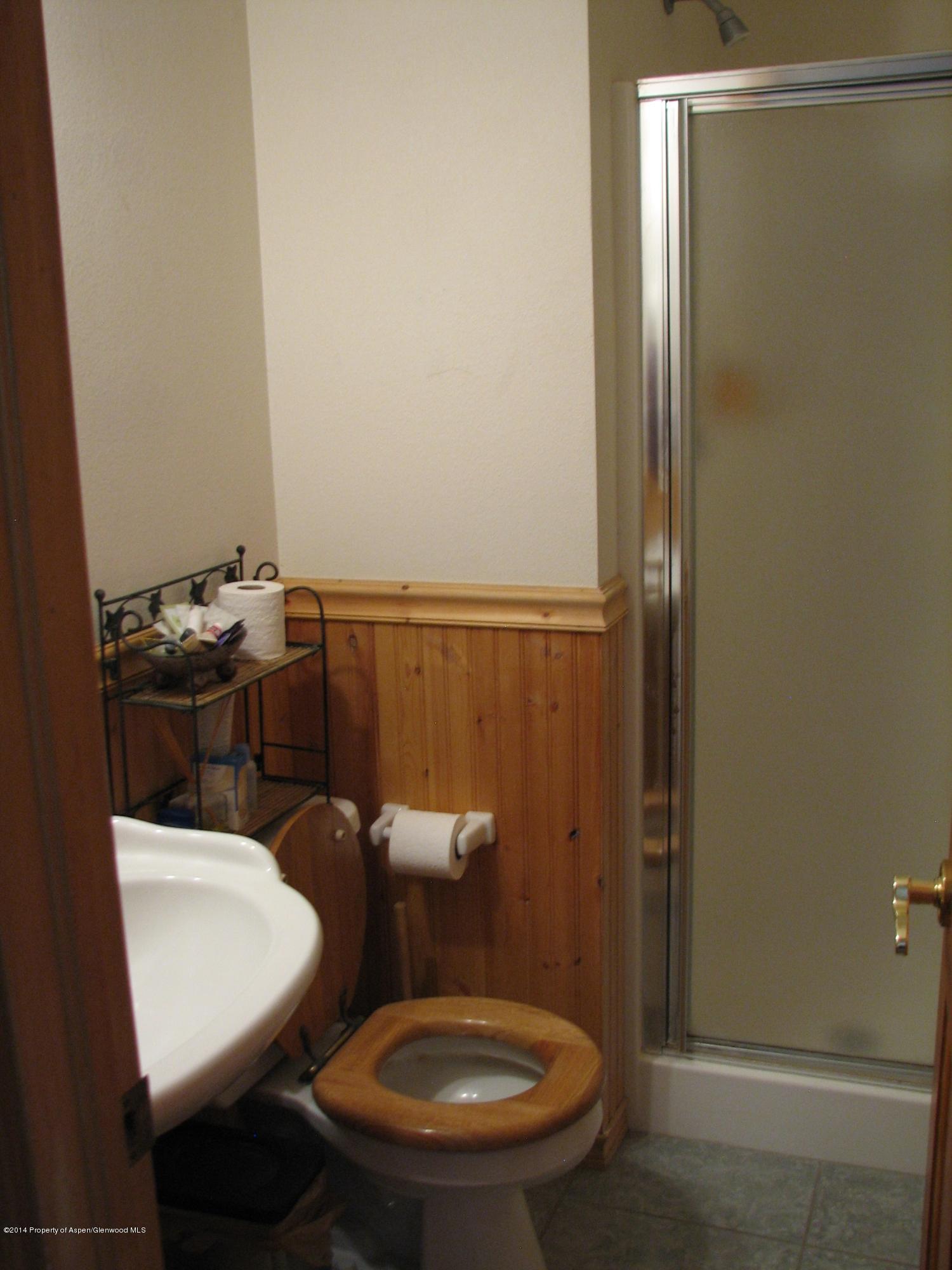 315 Oak Run Road Carbondale CO 81623