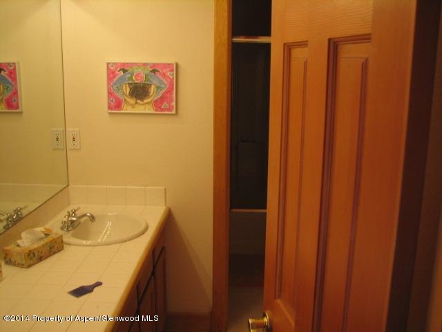 315 Oak Run Road Carbondale CO 81623