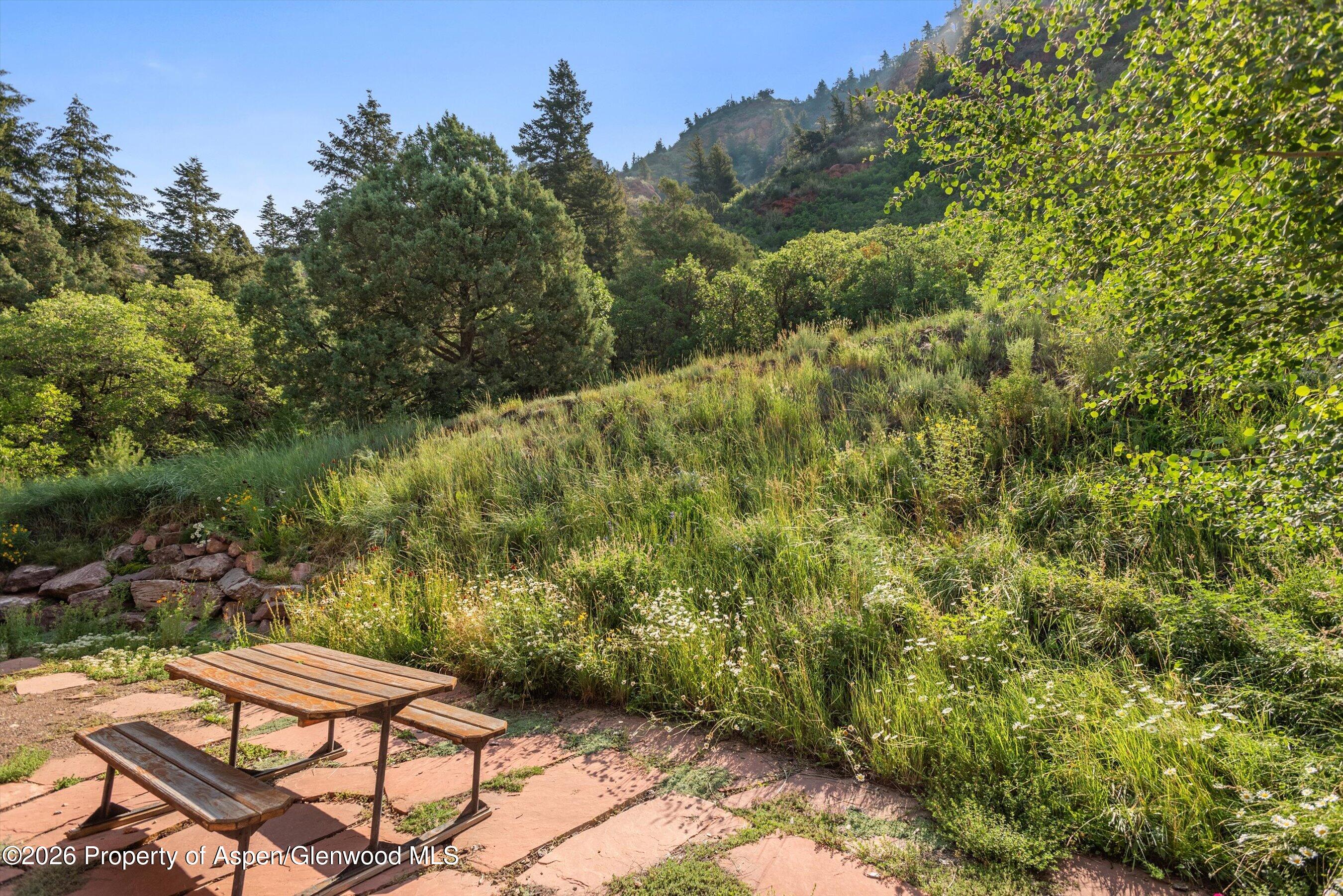 515 Crystal Circle Carbondale CO 81623