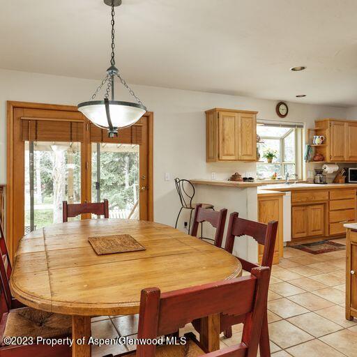 1005 Lauren Lane Basalt CO 81621