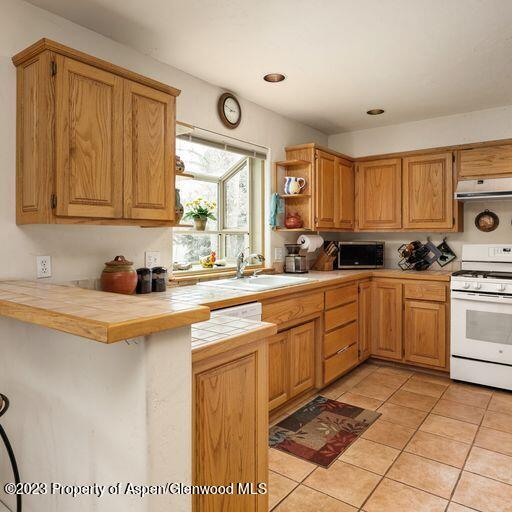 1005 Lauren Lane Basalt CO 81621