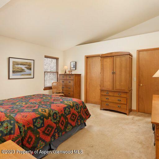 1005 Lauren Lane Basalt CO 81621