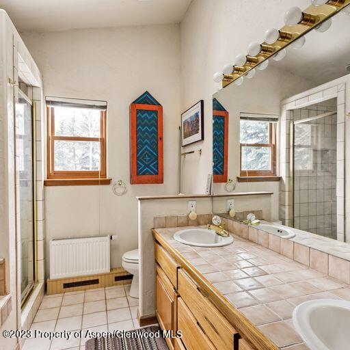1005 Lauren Lane Basalt CO 81621