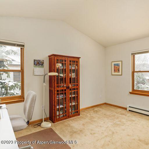 1005 Lauren Lane Basalt CO 81621