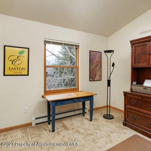 1005 Lauren Lane Basalt CO 81621