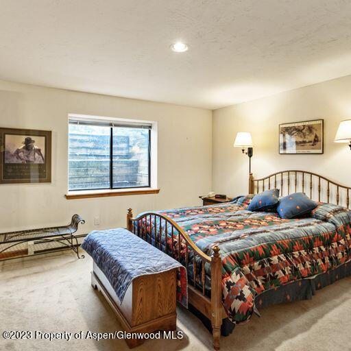 1005 Lauren Lane Basalt CO 81621