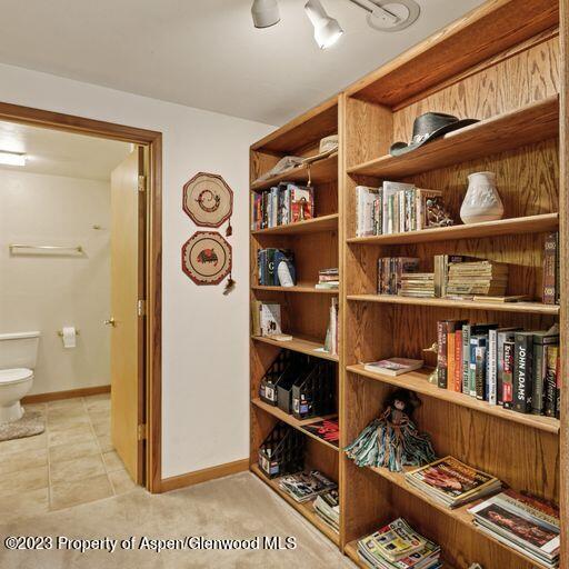 1005 Lauren Lane Basalt CO 81621