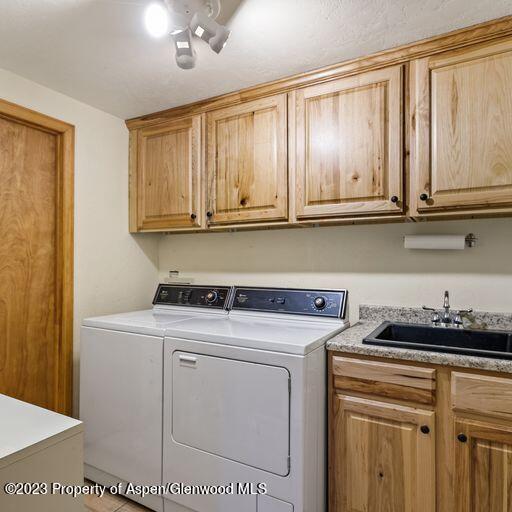 1005 Lauren Lane Basalt CO 81621