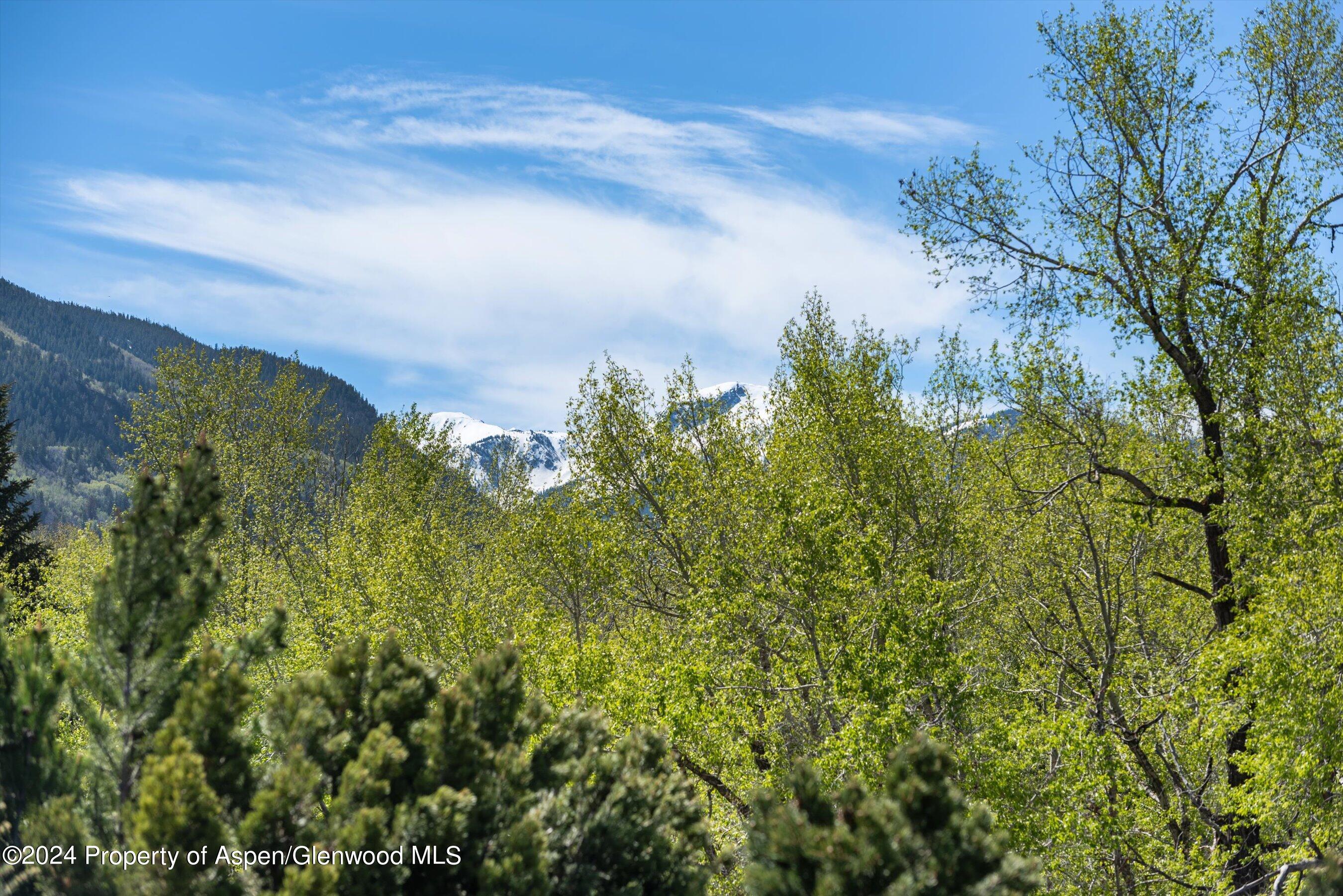 145 Miners Trail Road Aspen CO 81611