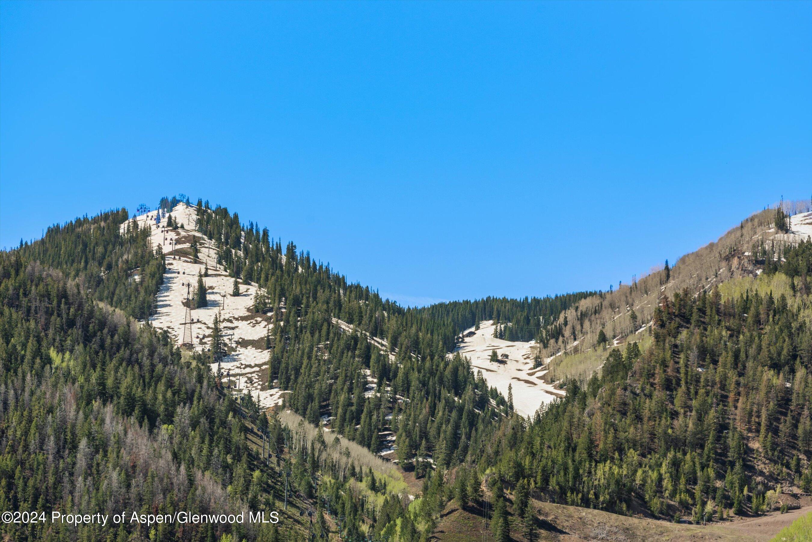 145 Miners Trail Road Aspen CO 81611