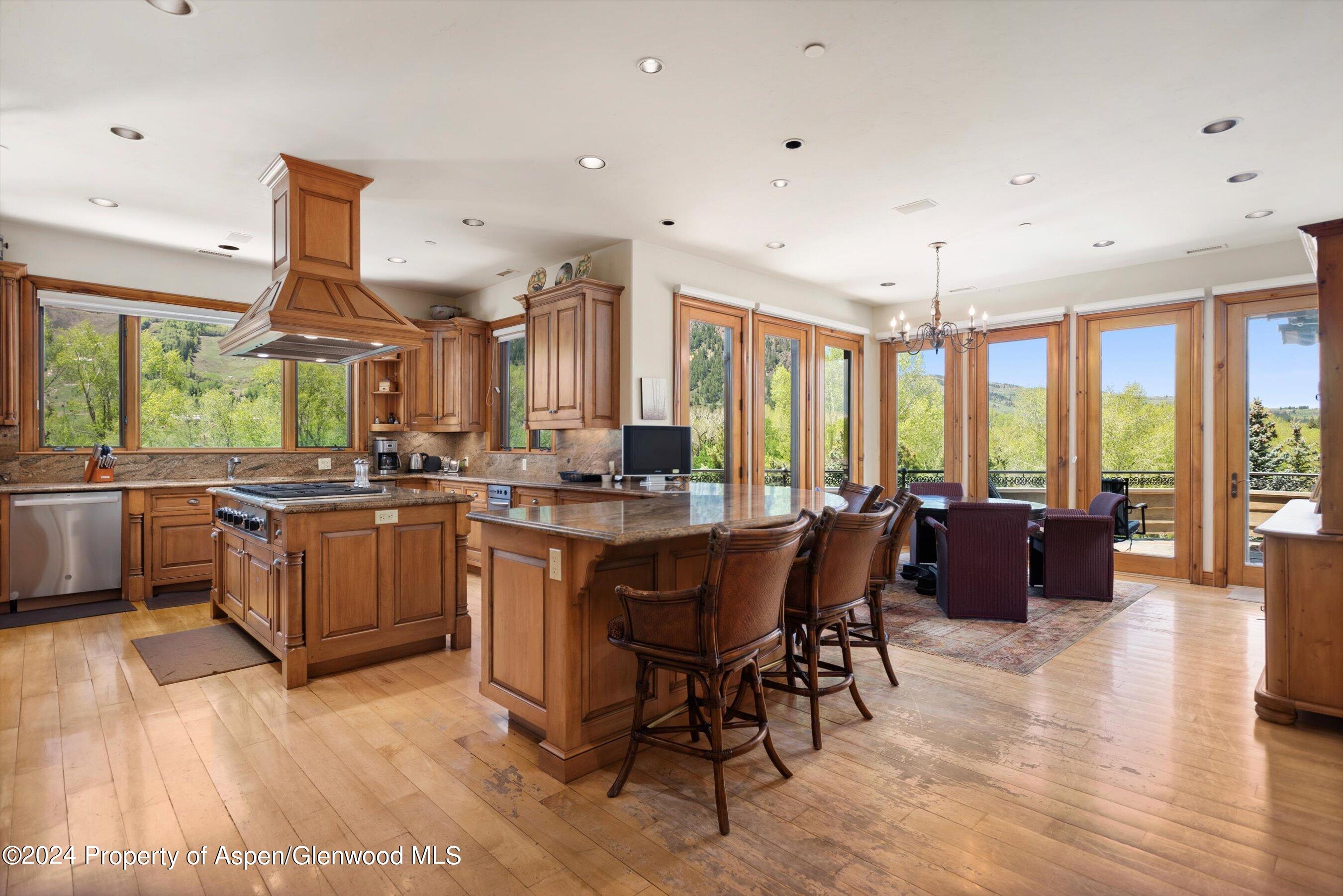 145 Miners Trail Road Aspen CO 81611