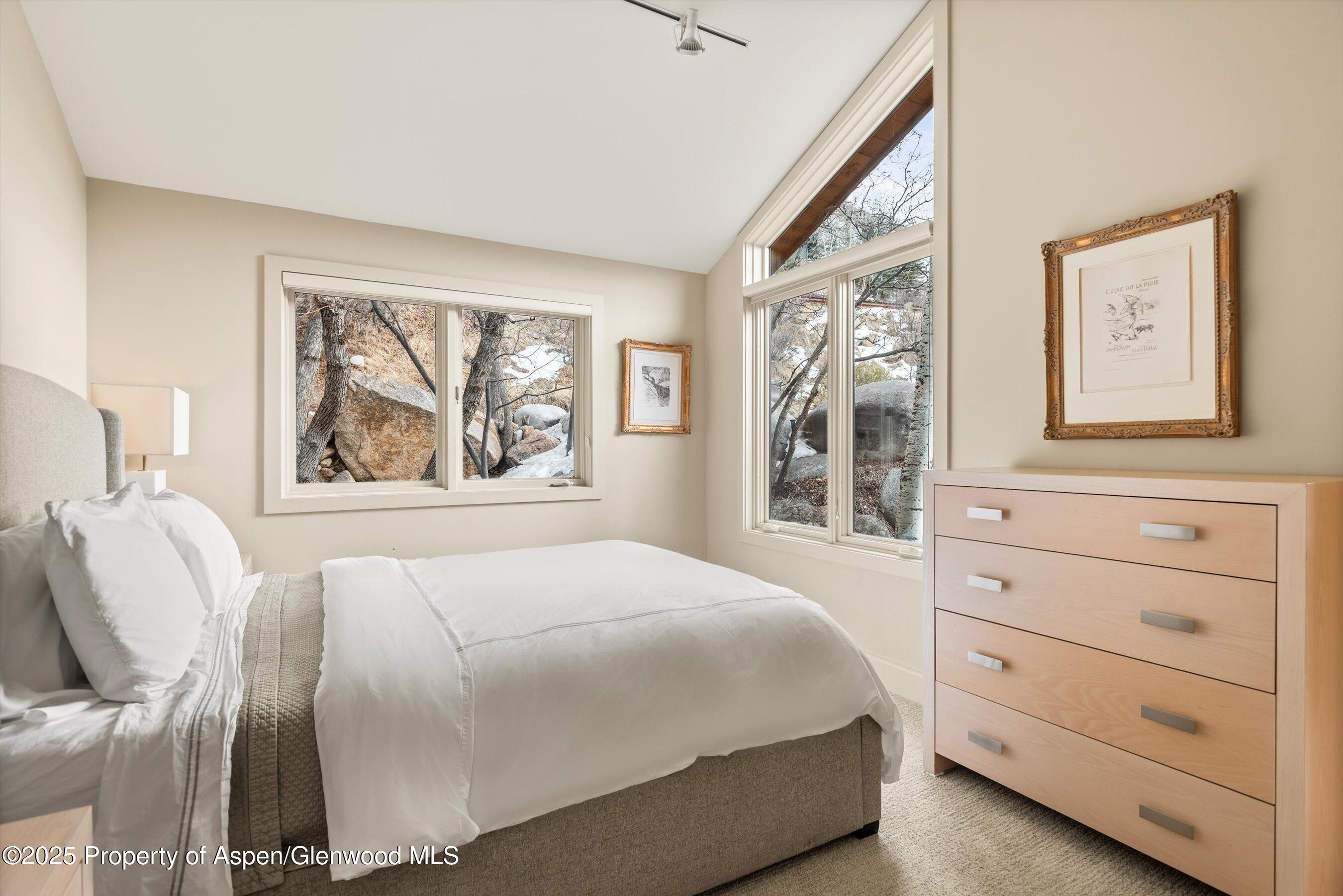 40 Mountain Laurel Lane Aspen CO 81611