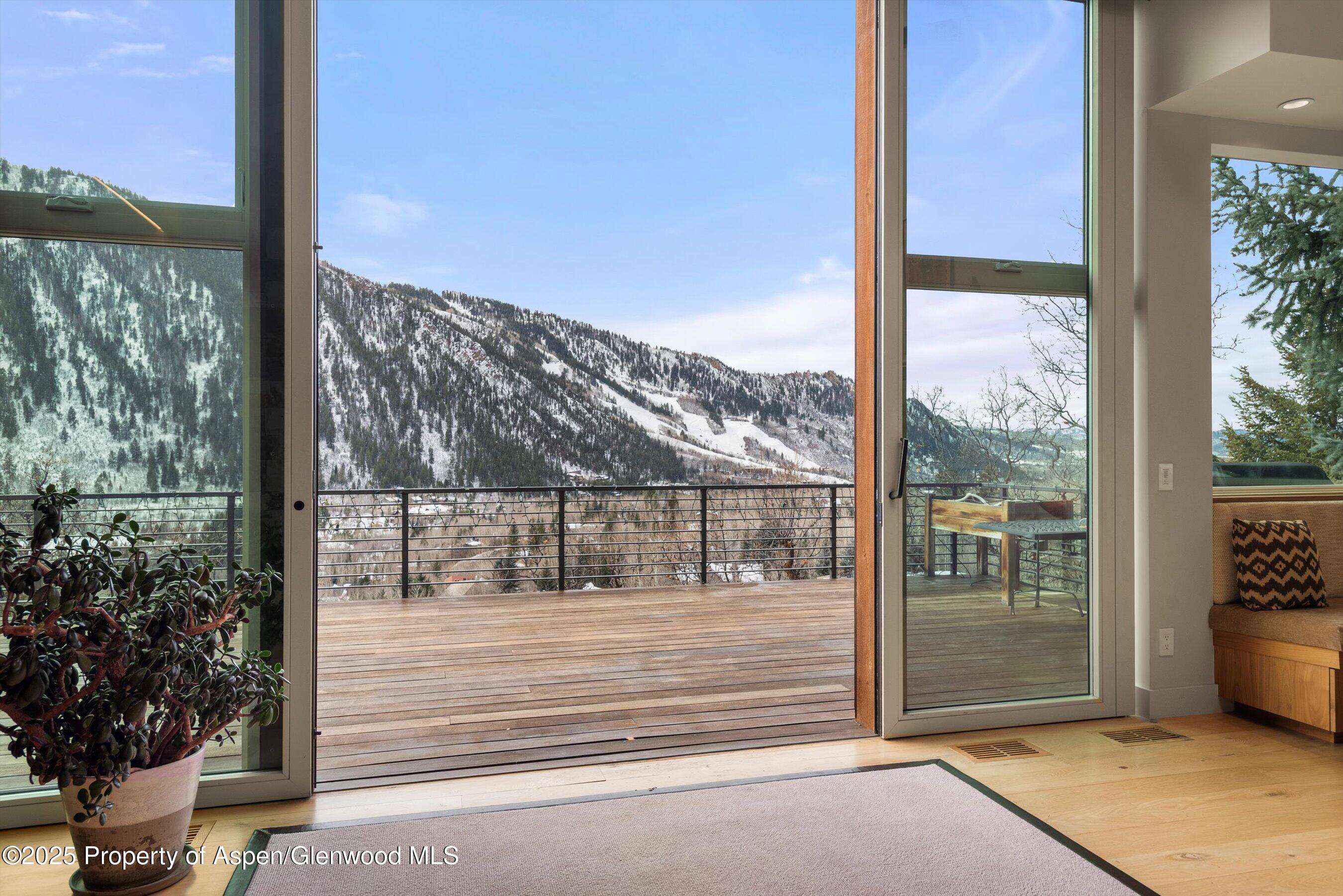 40 Mountain Laurel Lane Aspen CO 81611