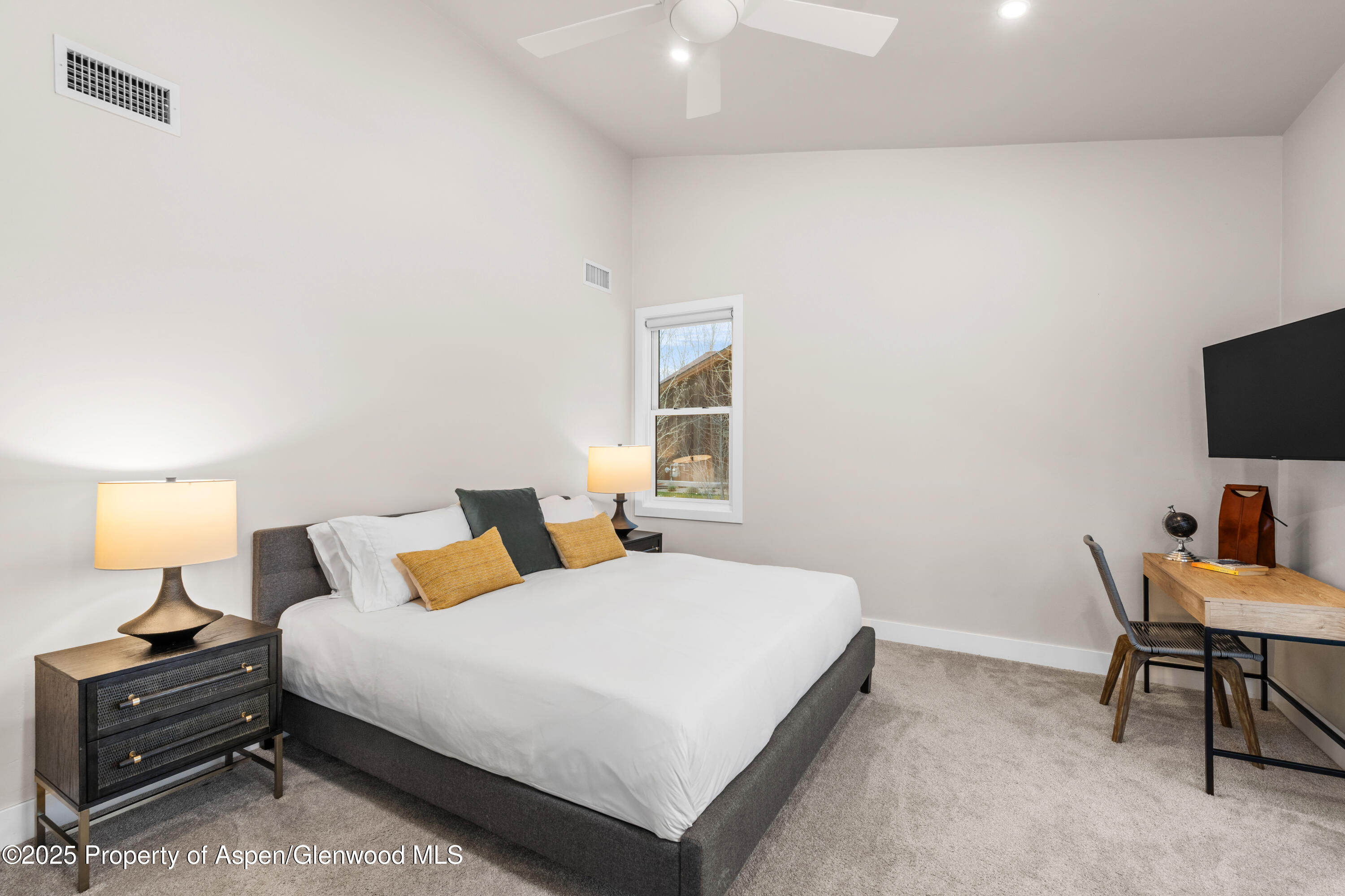 347 Equestrian Way Carbondale CO 81623