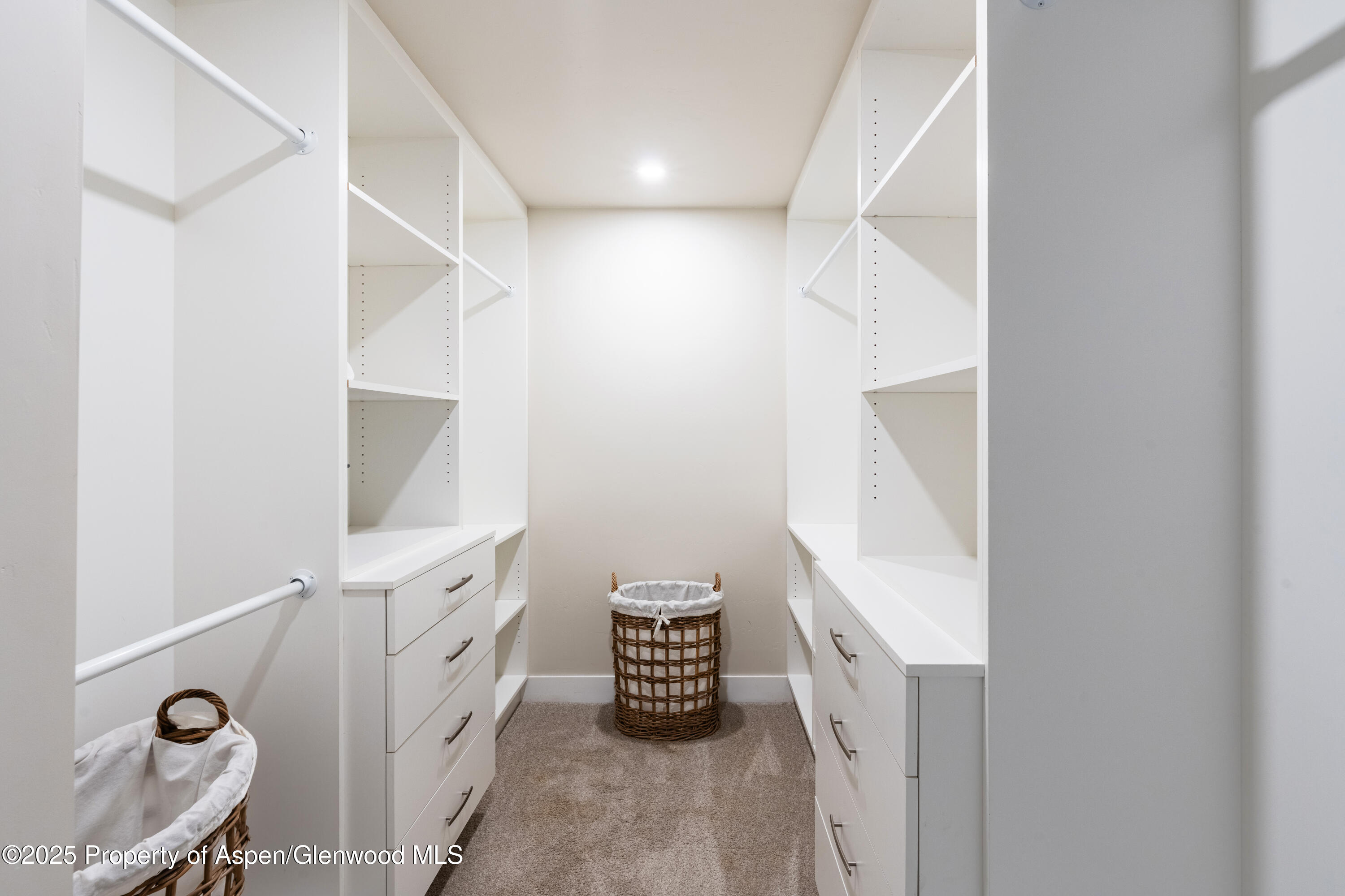 347 Equestrian Way Carbondale CO 81623