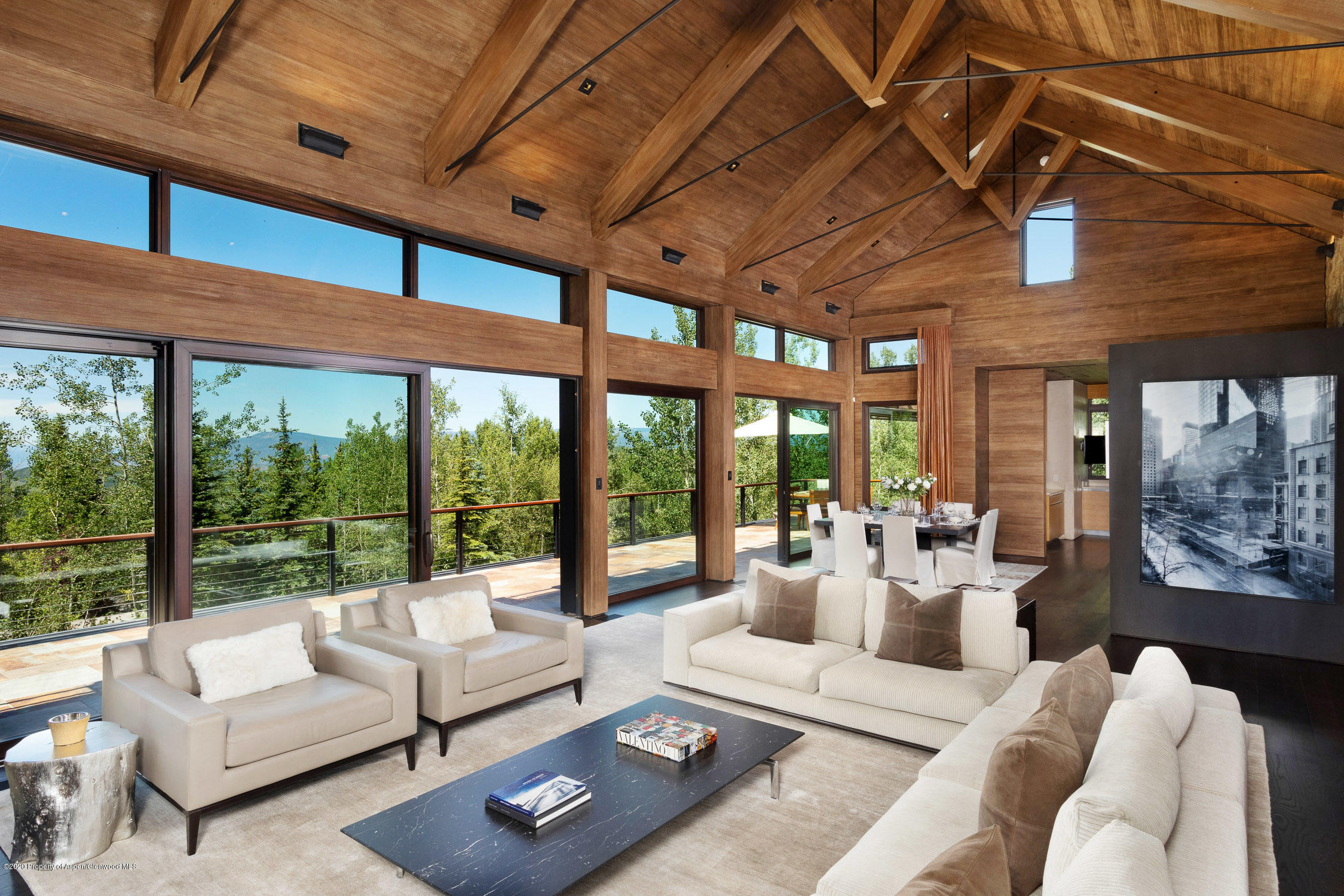 680 Divide Drive Snowmass Village CO 81615