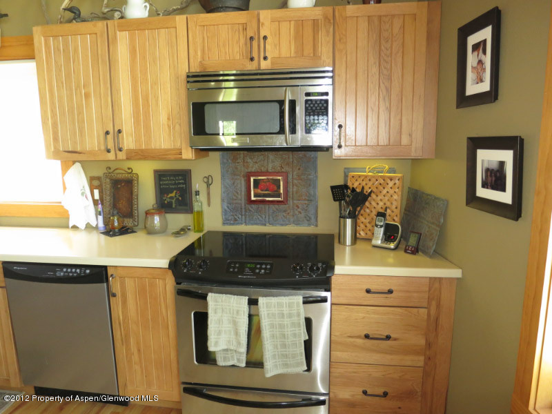 170 Rainbow Drive Marble CO 81623