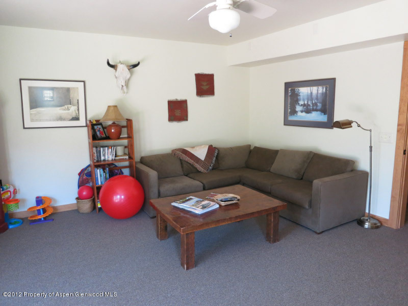 170 Rainbow Drive Marble CO 81623