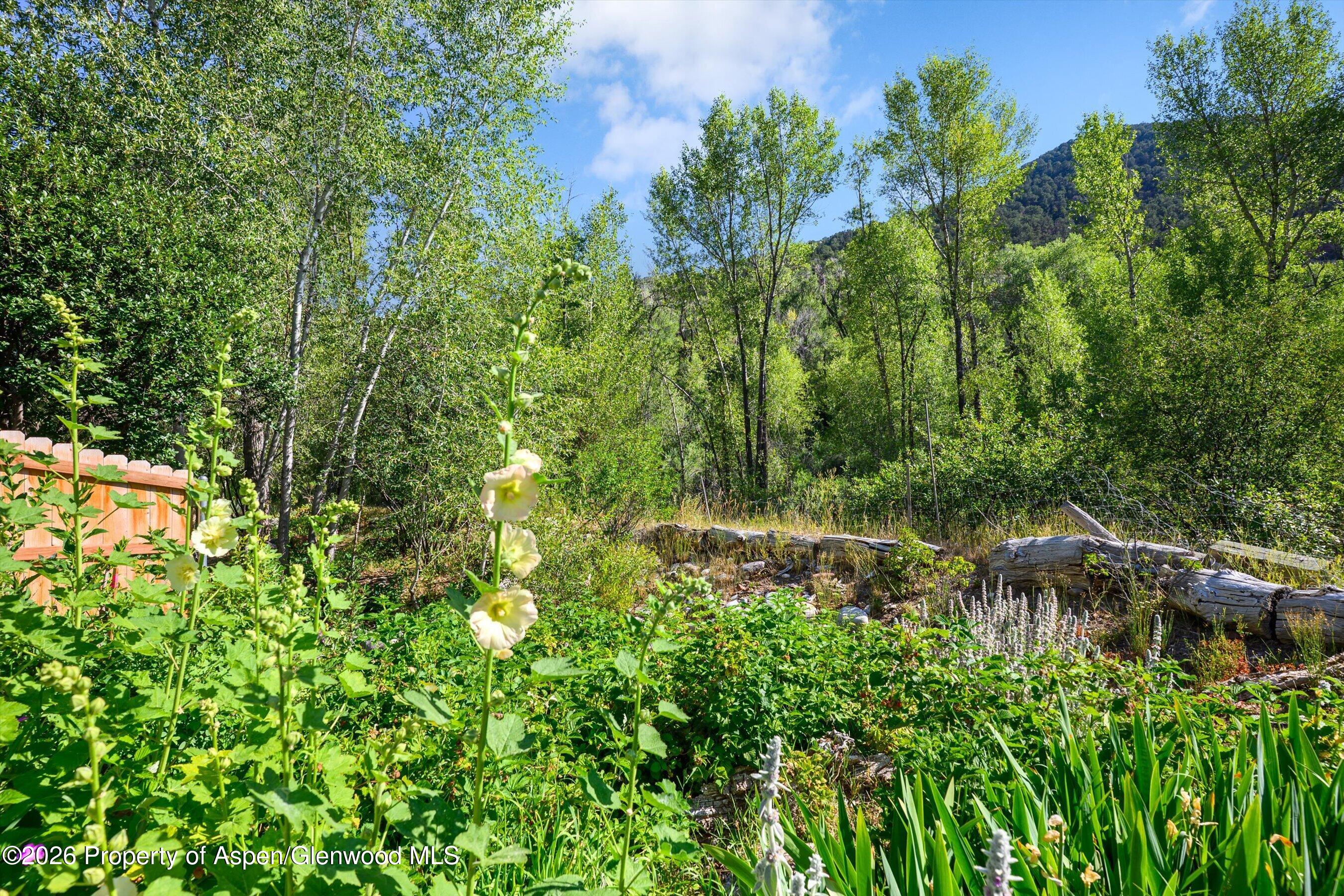 27 Lazy Glen Snowmass CO 81654