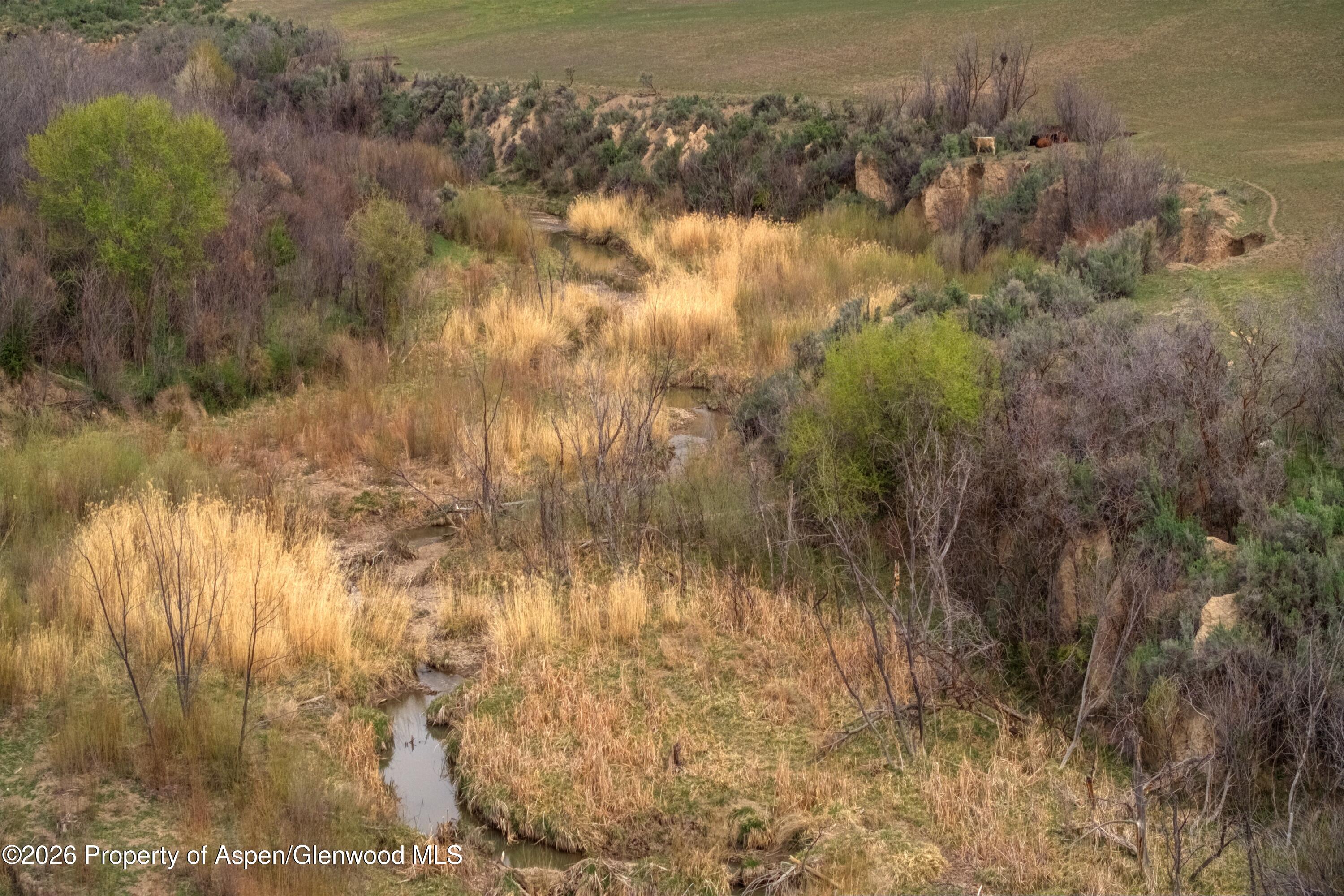 10124 County Road 204 De Beque CO 81630