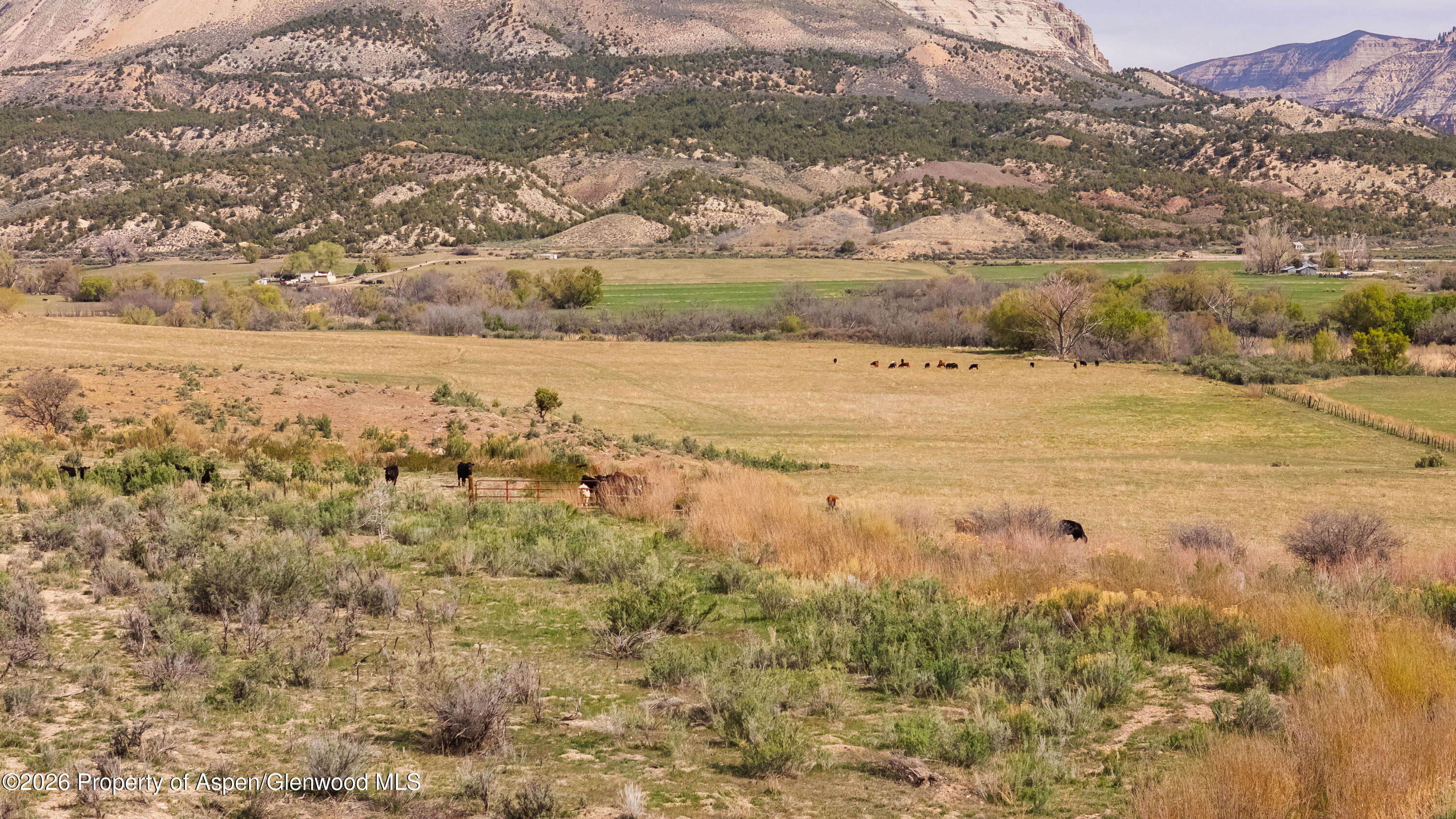 10124 County Road 204 De Beque CO 81630