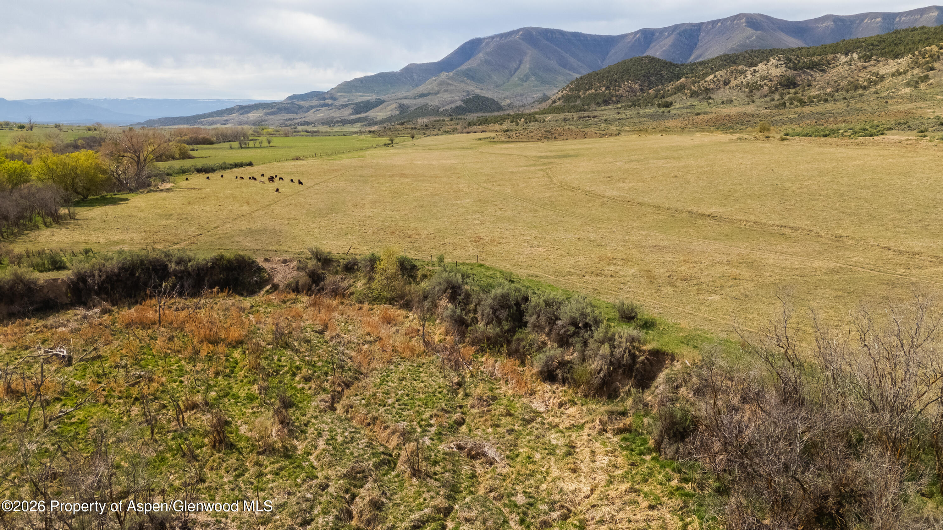 10124 County Road 204 De Beque CO 81630