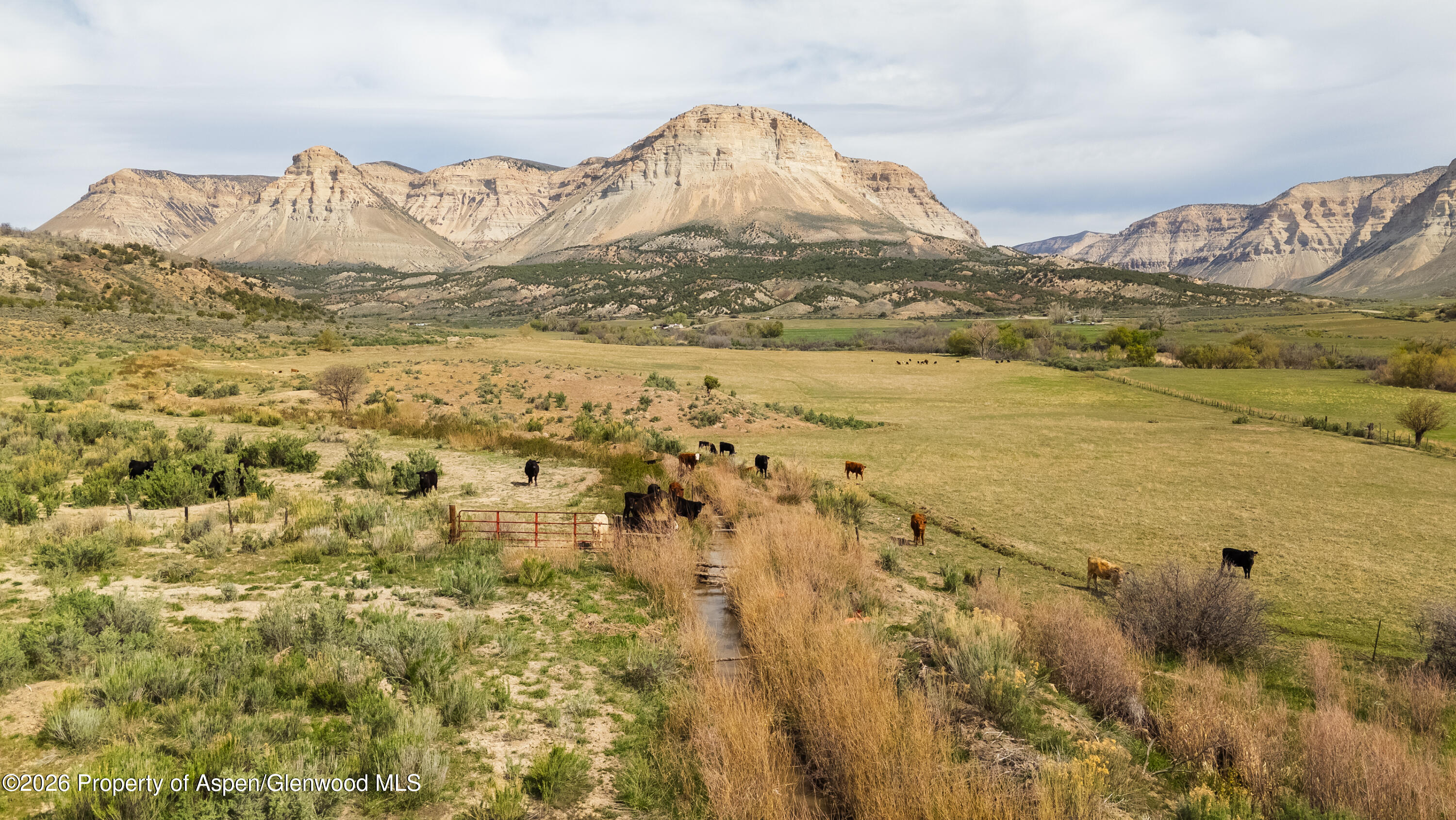 10124 County Road 204 De Beque CO 81630