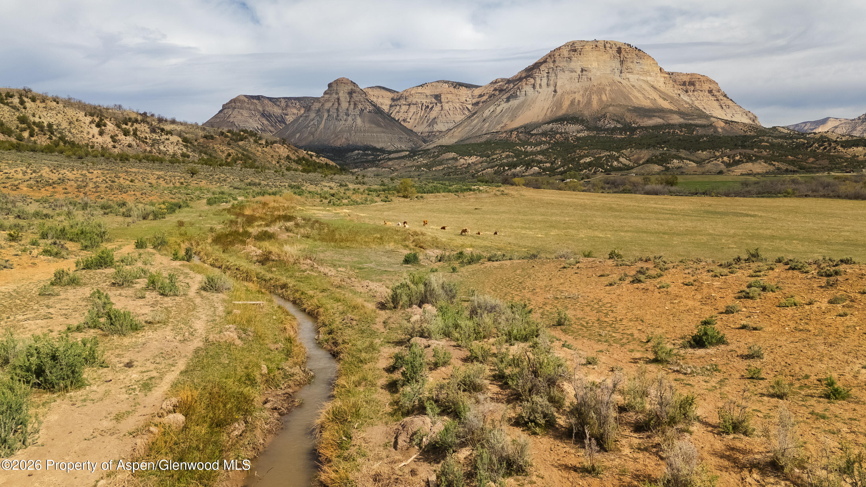 10124 County Road 204 De Beque CO 81630