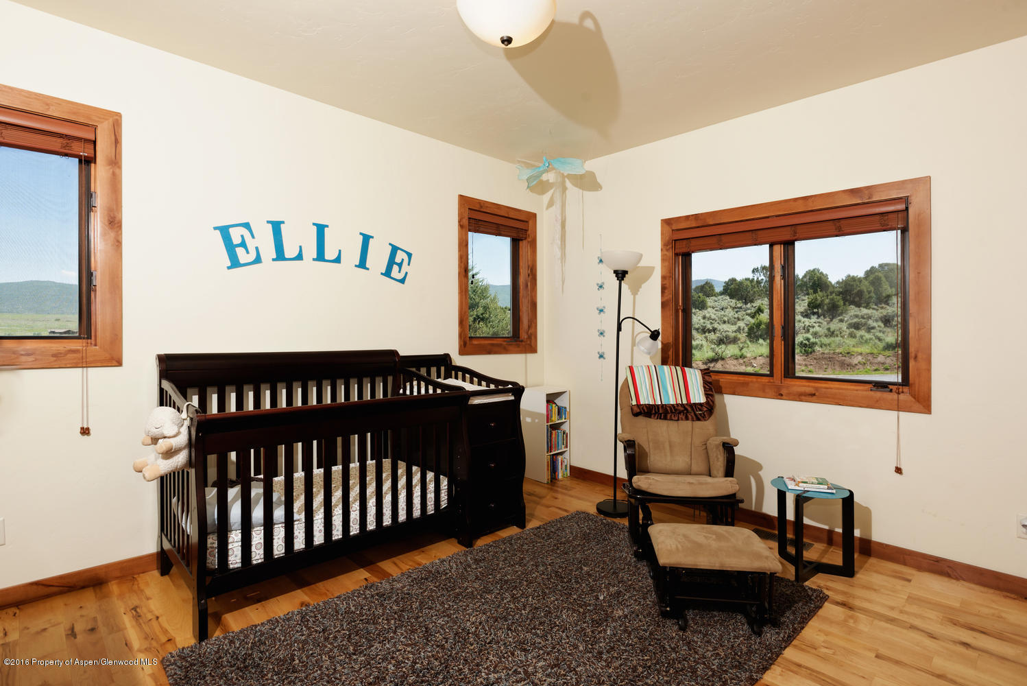 345 Woodruff Road Glenwood Springs CO 81601