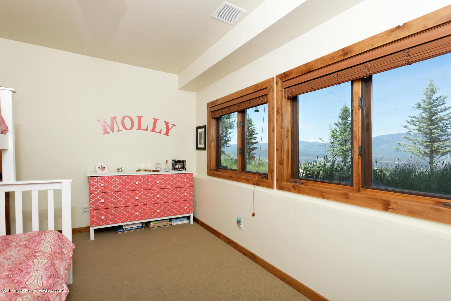 345 Woodruff Road Glenwood Springs CO 81601